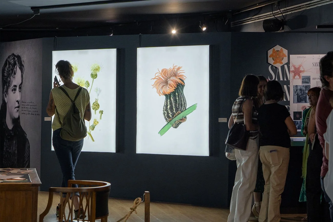Diseño expositivo de la exposición Luisa de la Vega realizado por Ruth Martin LaRulotte para el Museo Marítimo del Cantábrico MMC en Santander, en colaboración con el Centro Oceanográfico de Santander IEO-CSIC