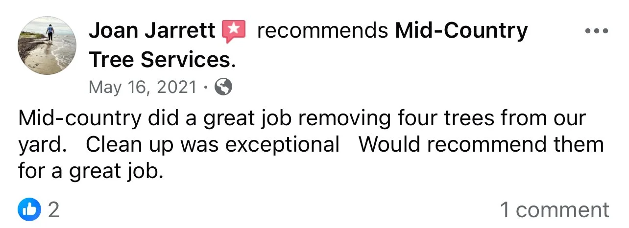 Review highlighting affordable and high-quality tree care in Linn, Missouri.