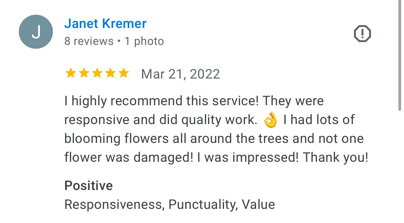 Glowing review praising Mid-Country Tree Services’ friendly and skilled arborists.