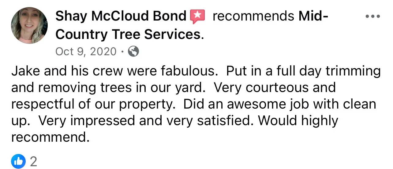 Five-star feedback on the professionalism and courtesy of Mid-Country Tree Services staff.