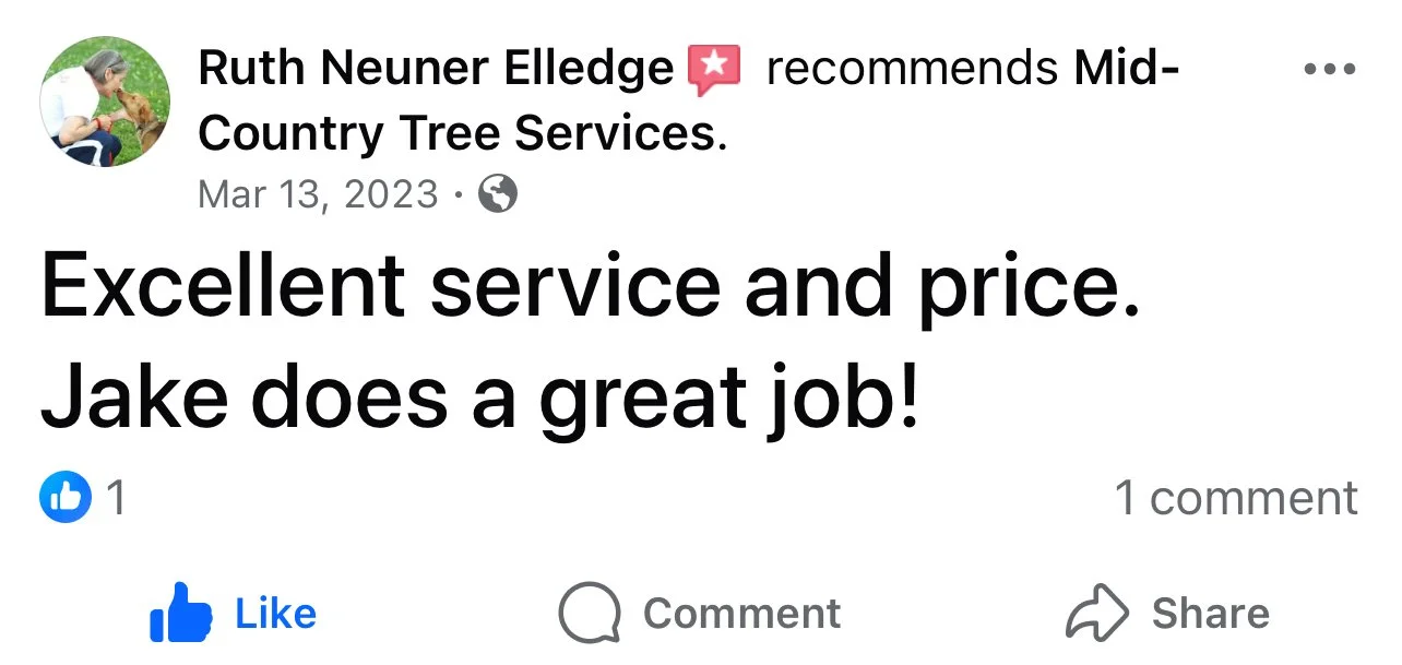 Client review recommending Mid-Country Tree Services for emergency tree removal.