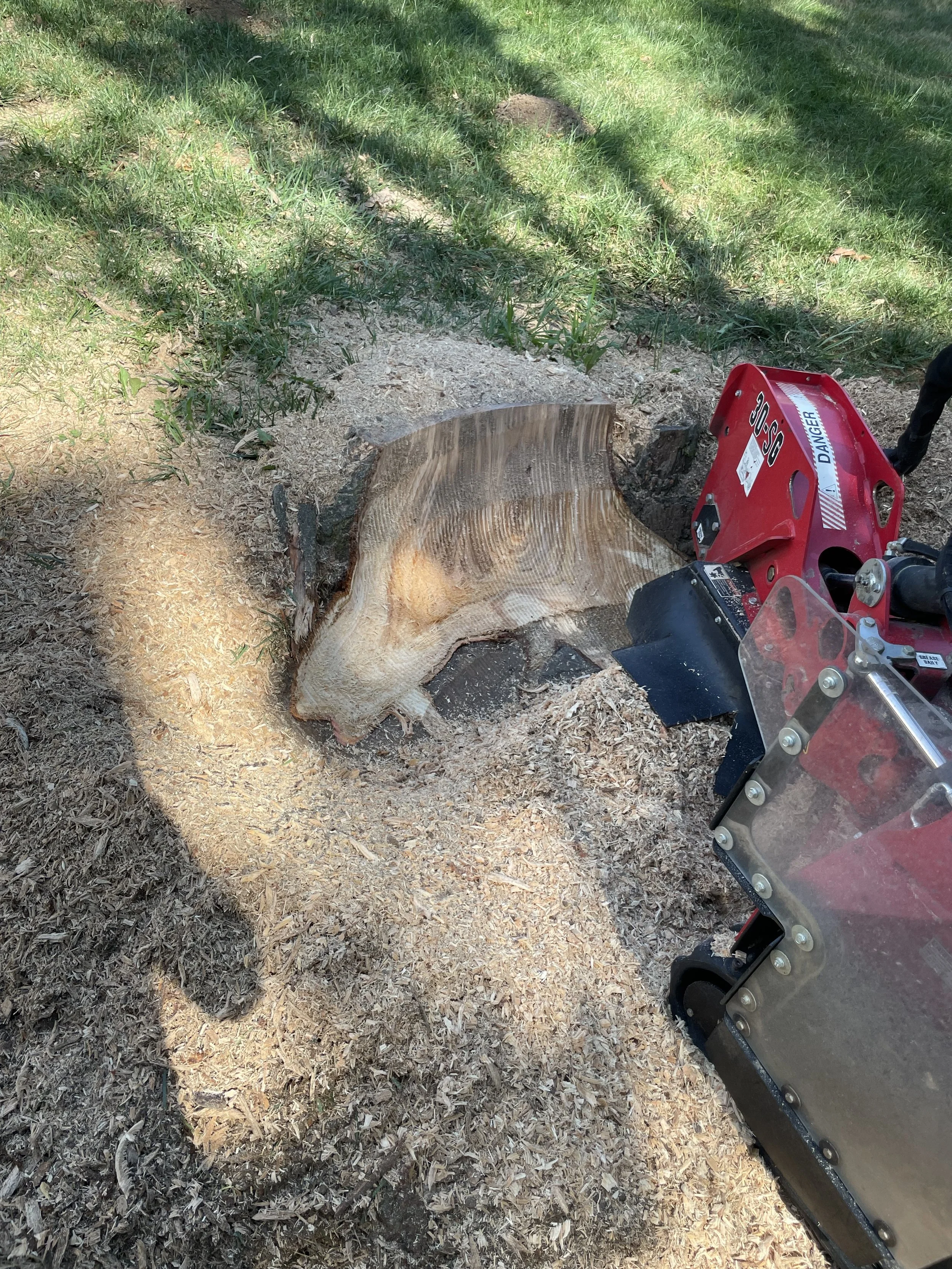 Mid-Country Tree Services stump grinder working halfway through a large stump in Wardsville, Missouri, showcasing efficient stump removal with professional equipment.