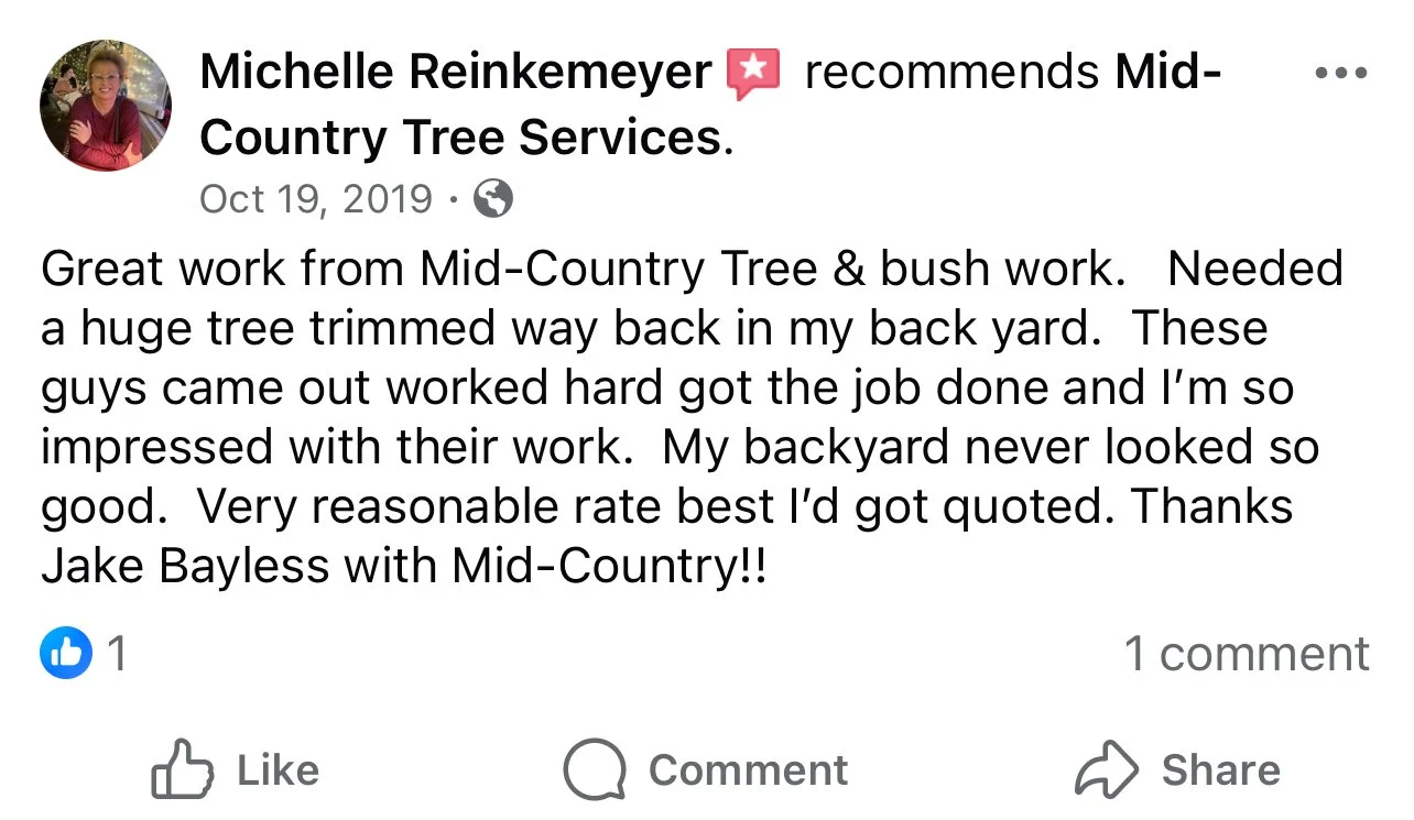 Happy customer review of comprehensive yard cleanup and tree care solutions.