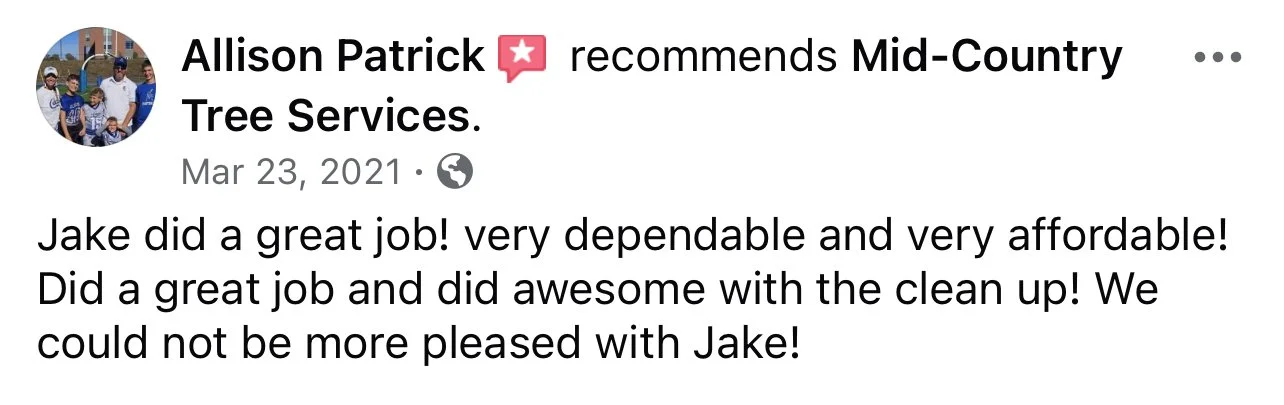 Customer testimonial for professional tree cabling and bracing services.