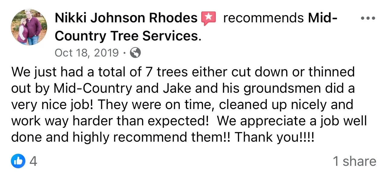 Testimonial about Mid-Country Tree Services providing expert advice and quality work.