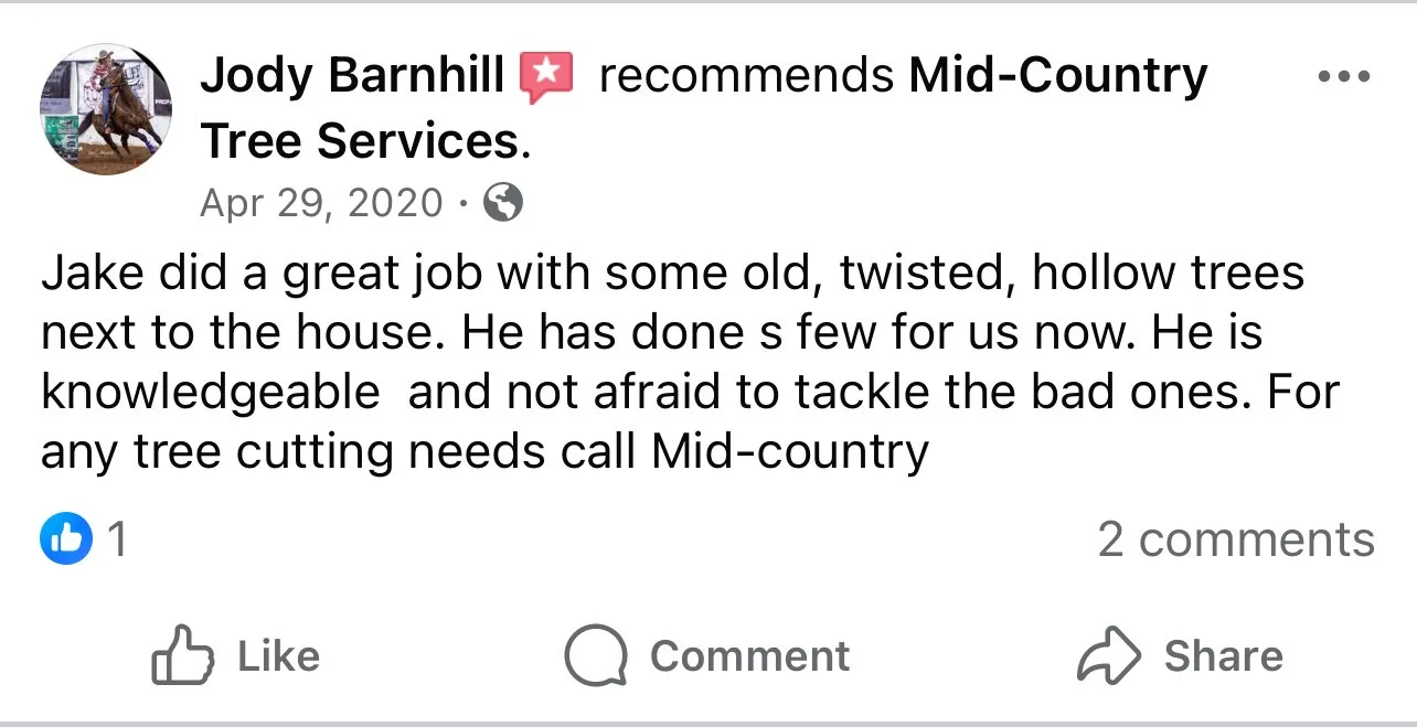 Review praising Mid-Country Tree Services for punctuality and cleanup after tree removal.