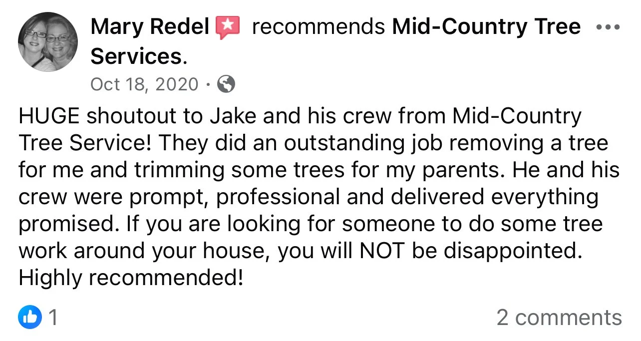 Satisfied customer review of safe and efficient storm damage cleanup services.