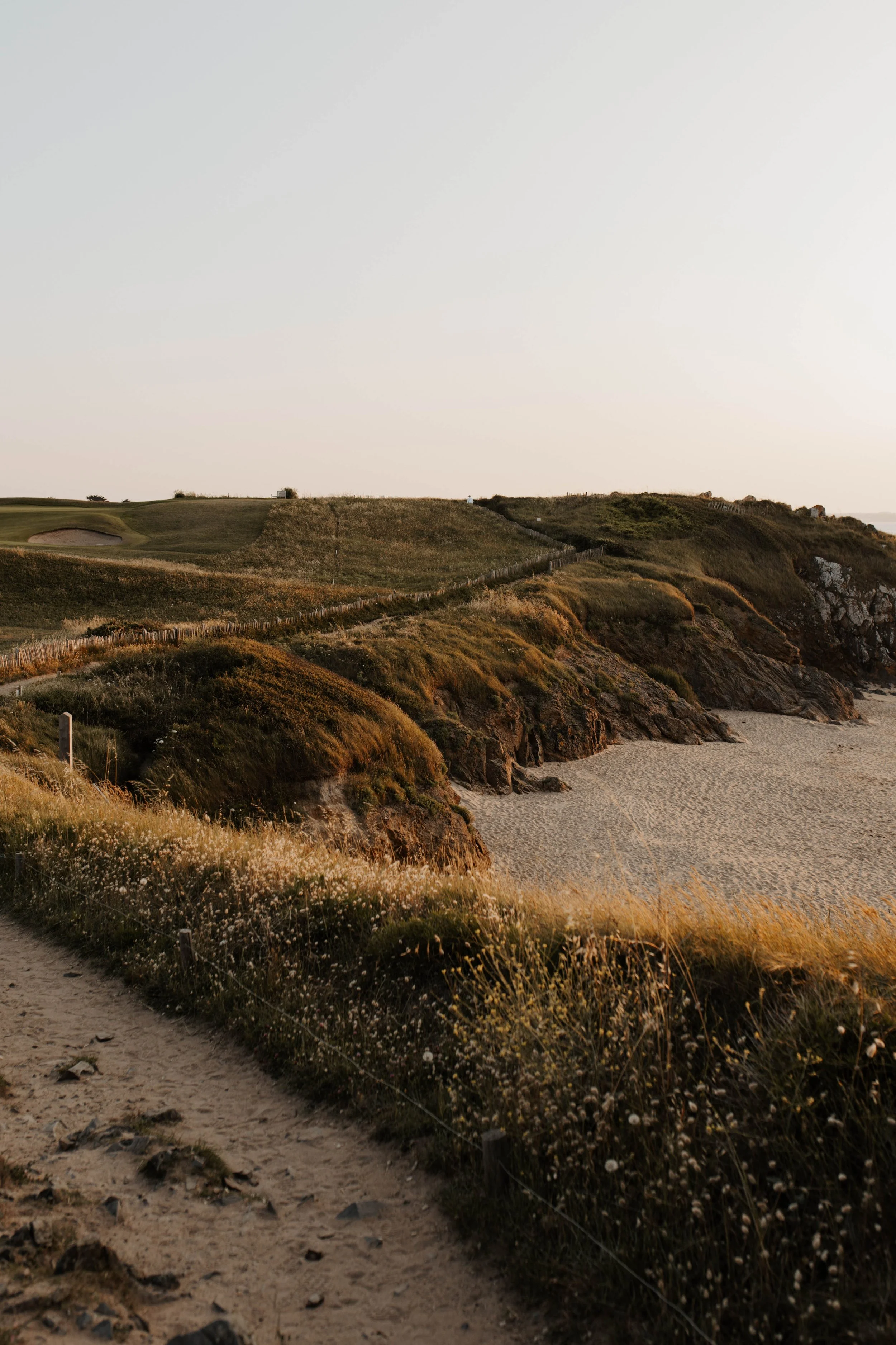 séance grossesse S&F 16-06-2025-246.jpg