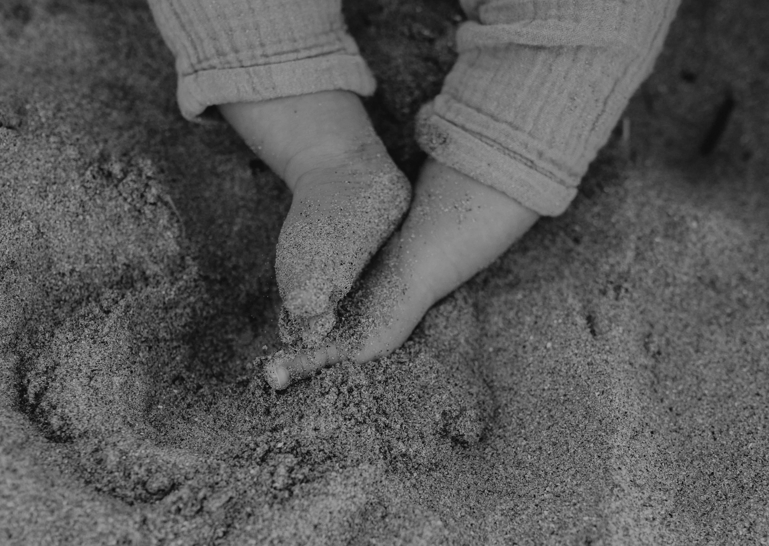 Séance famille 07-07-2025-74.jpg