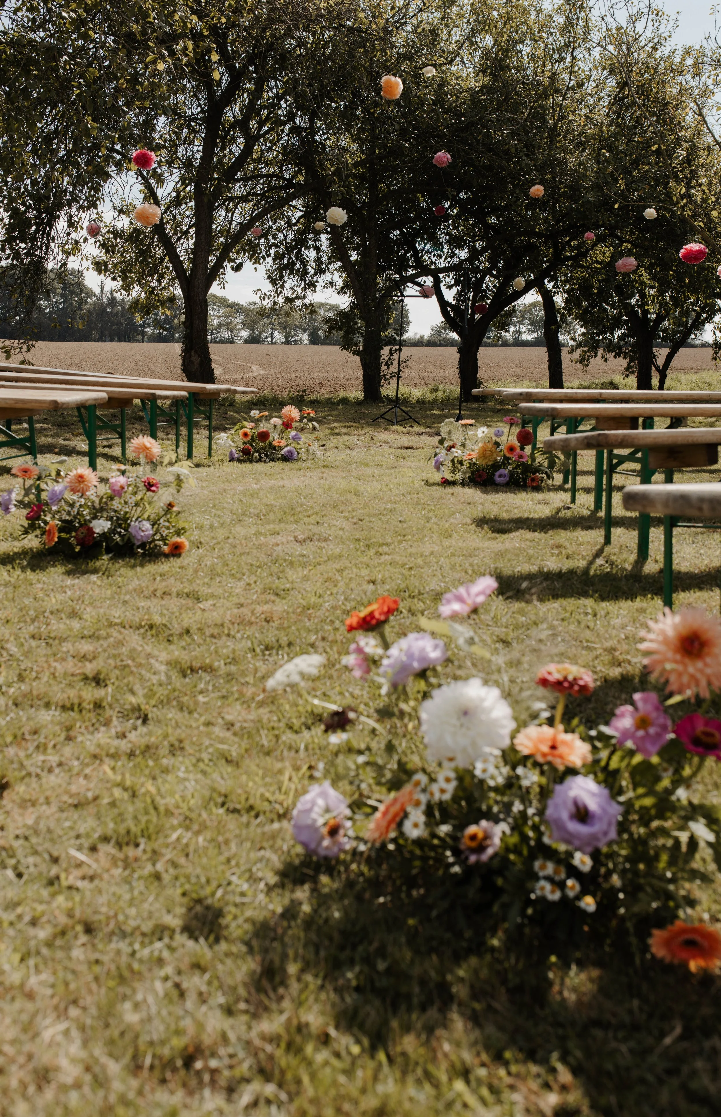 teasing mariage H&R 07-09-2024-12.jpg