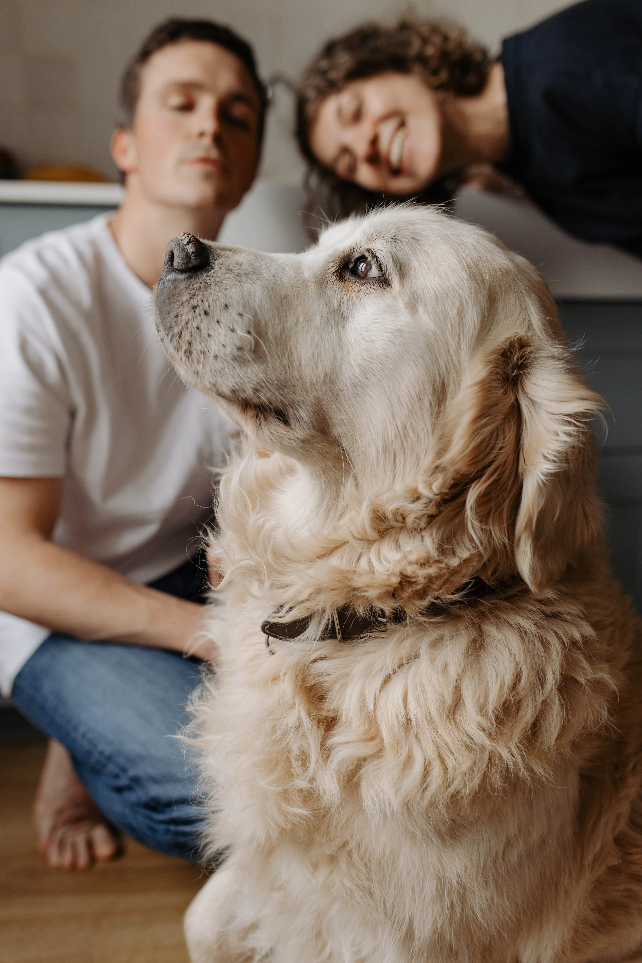 séance engagement - famille Héloïse & Romain 15-05-2024-178.jpg