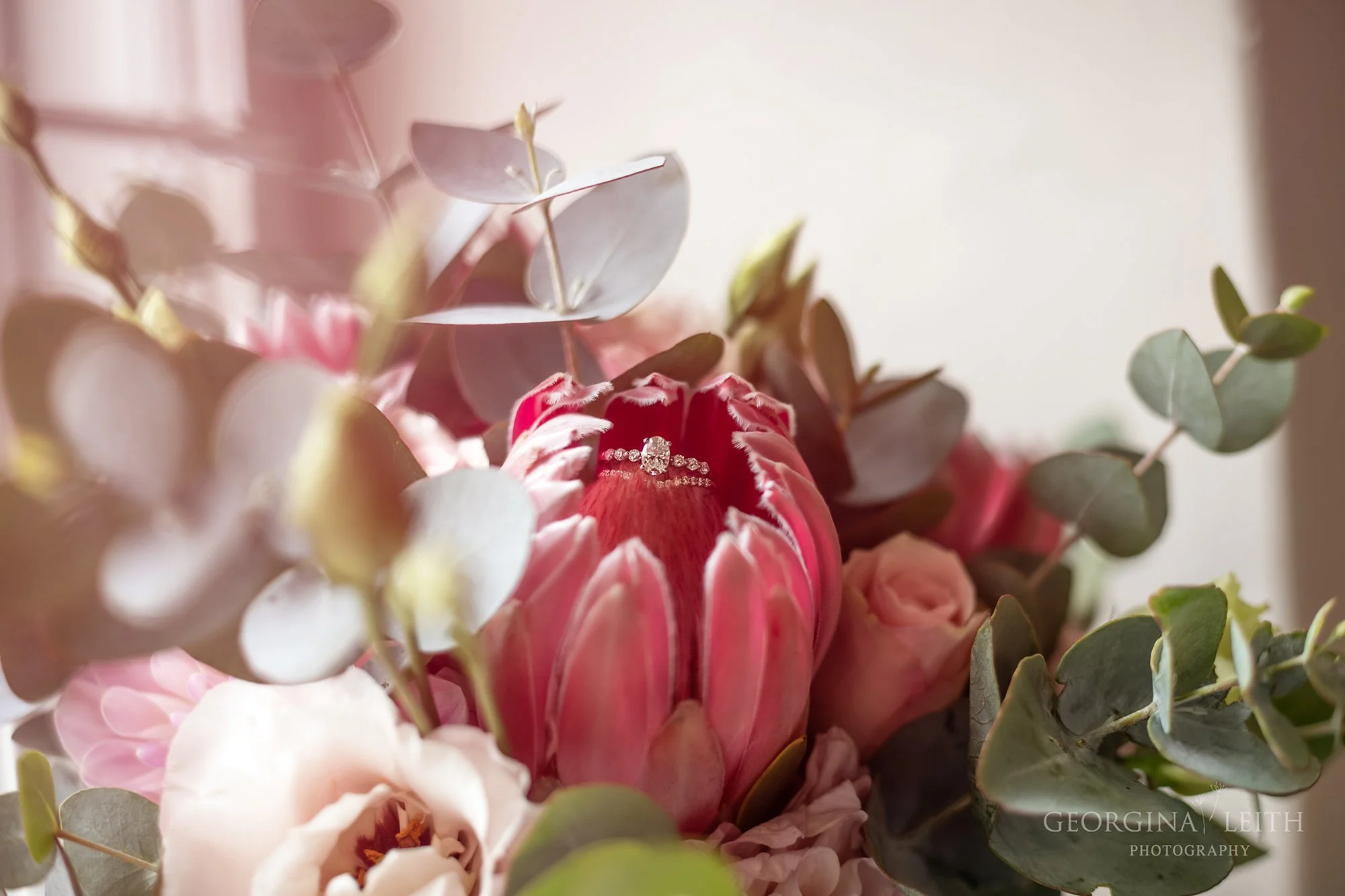 5A7A5501 copy-2.jpg