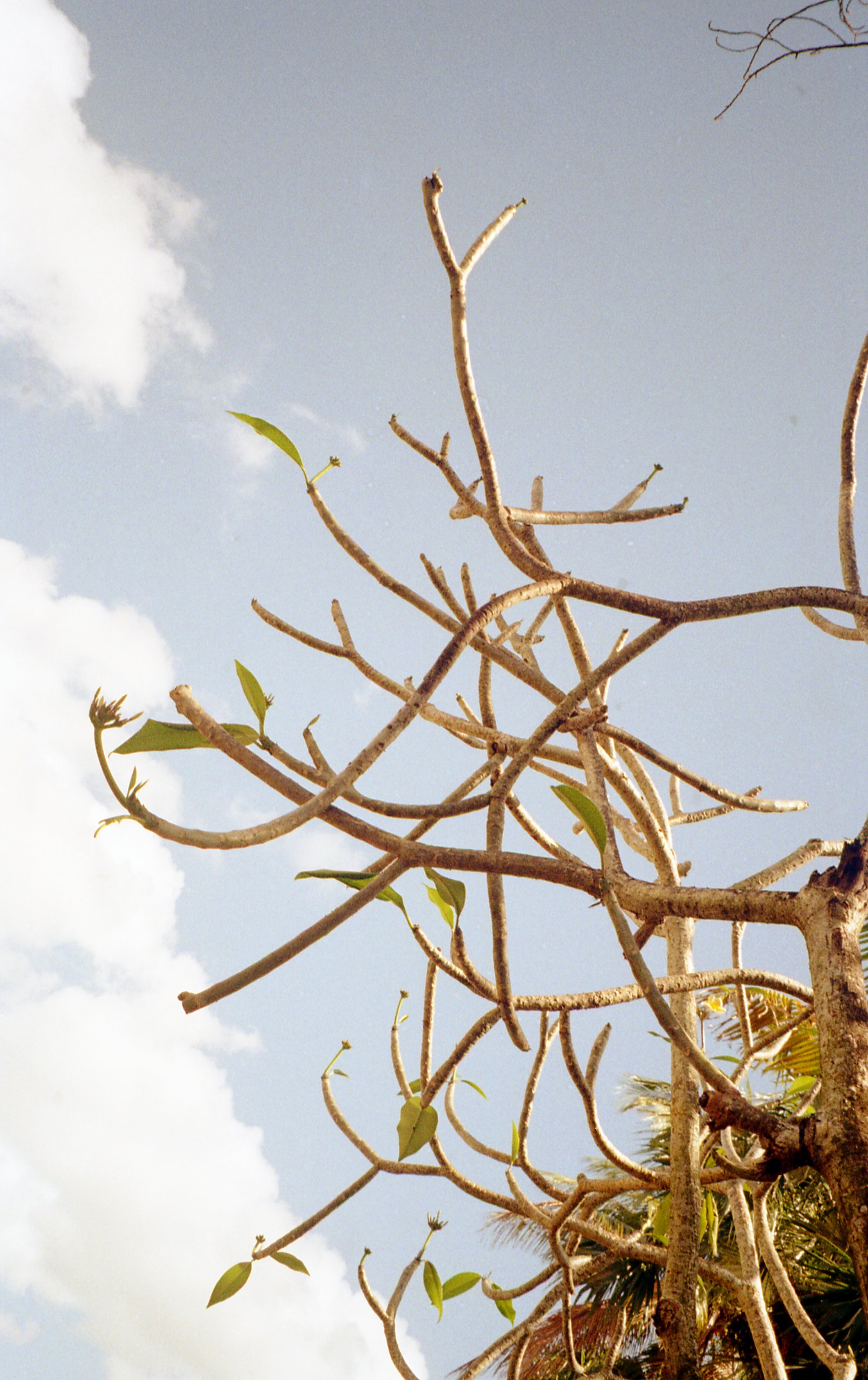 Pocket pentax359.jpg