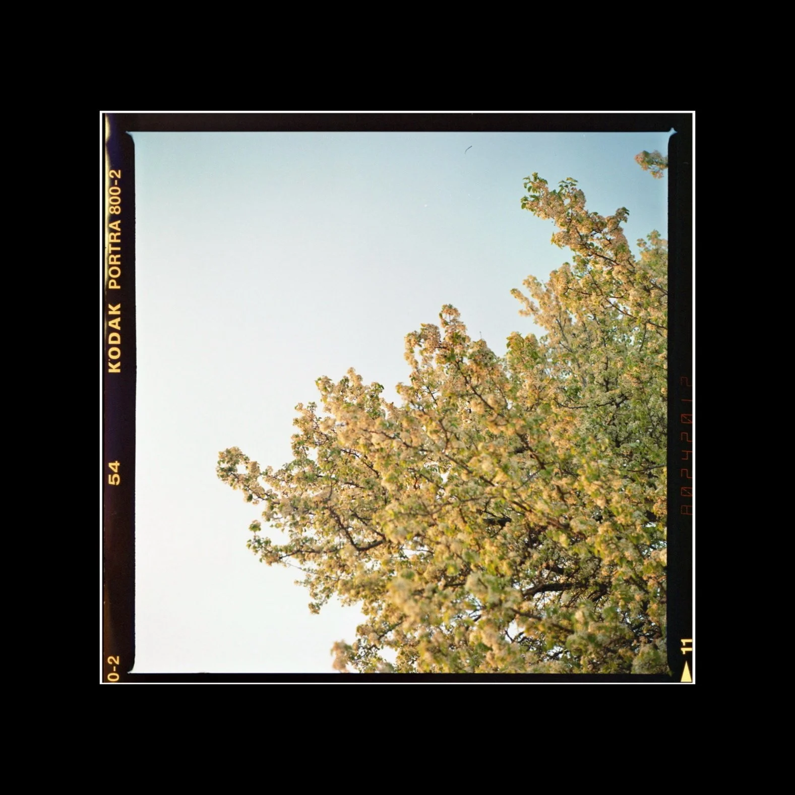 "Holding onto Spring"