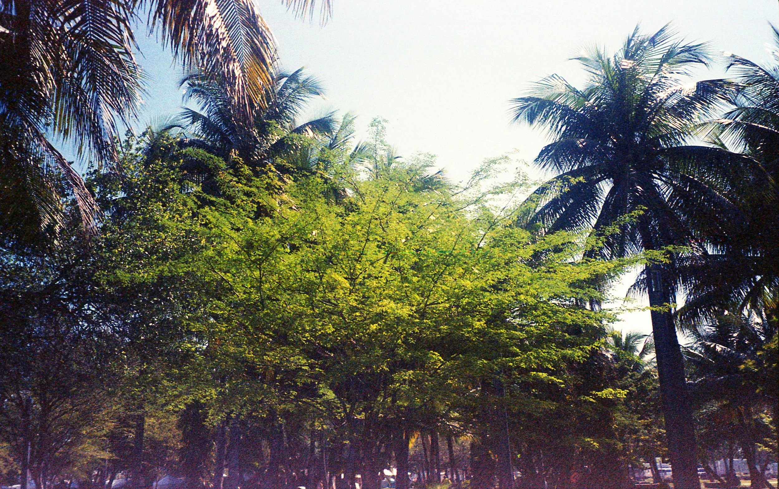 Pocket pentax394.jpg