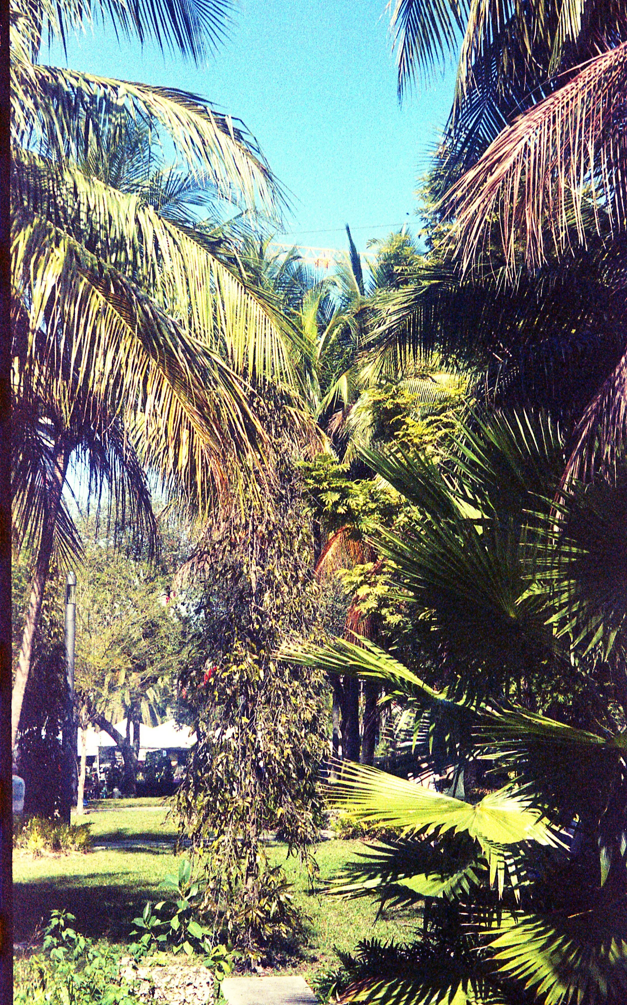 Pocket pentax402.jpg