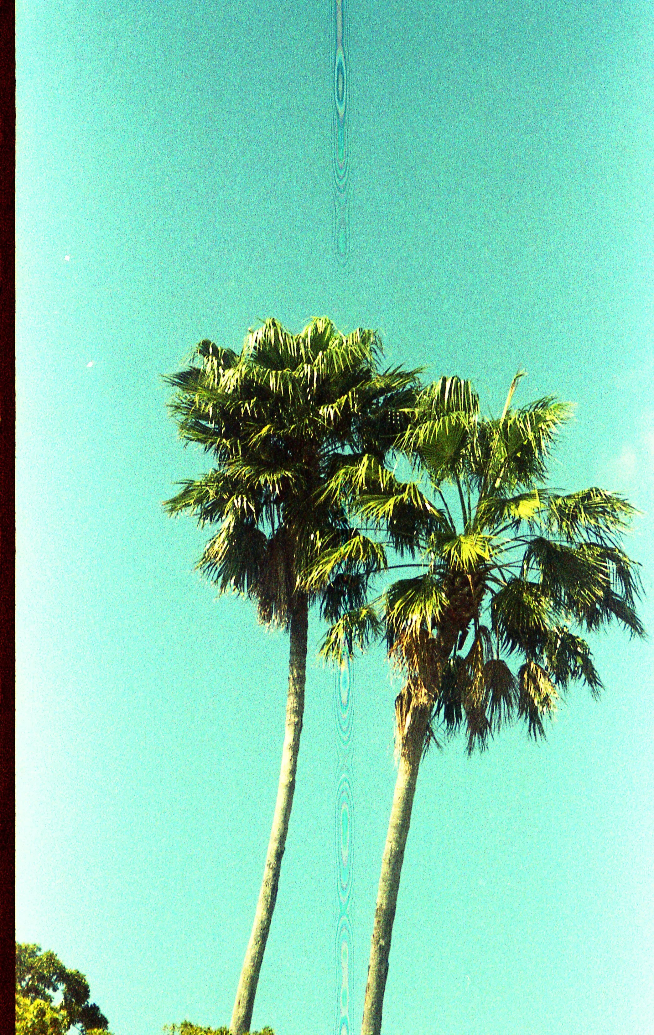 Pocket pentax401.jpg