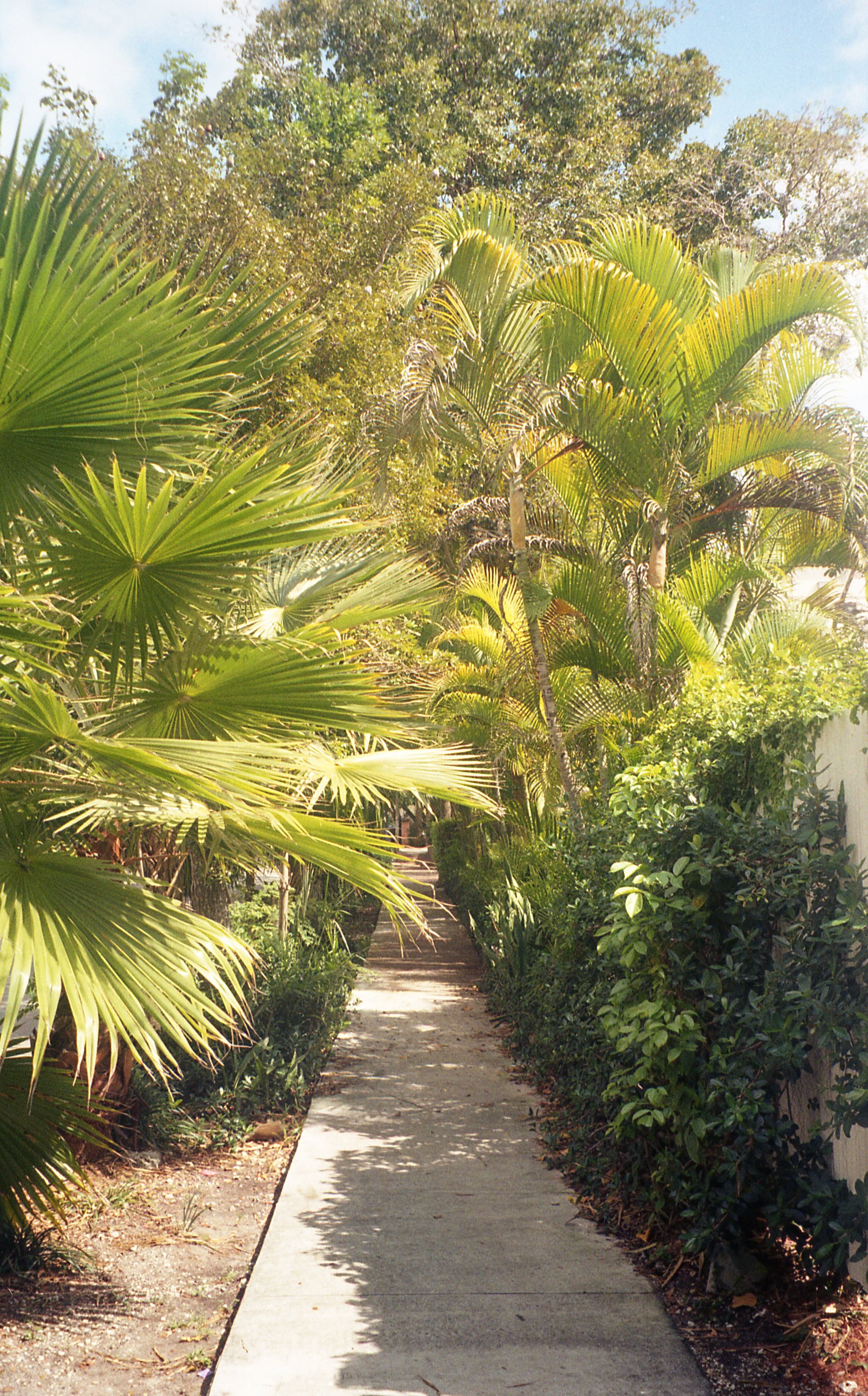 Pocket pentax375.jpg