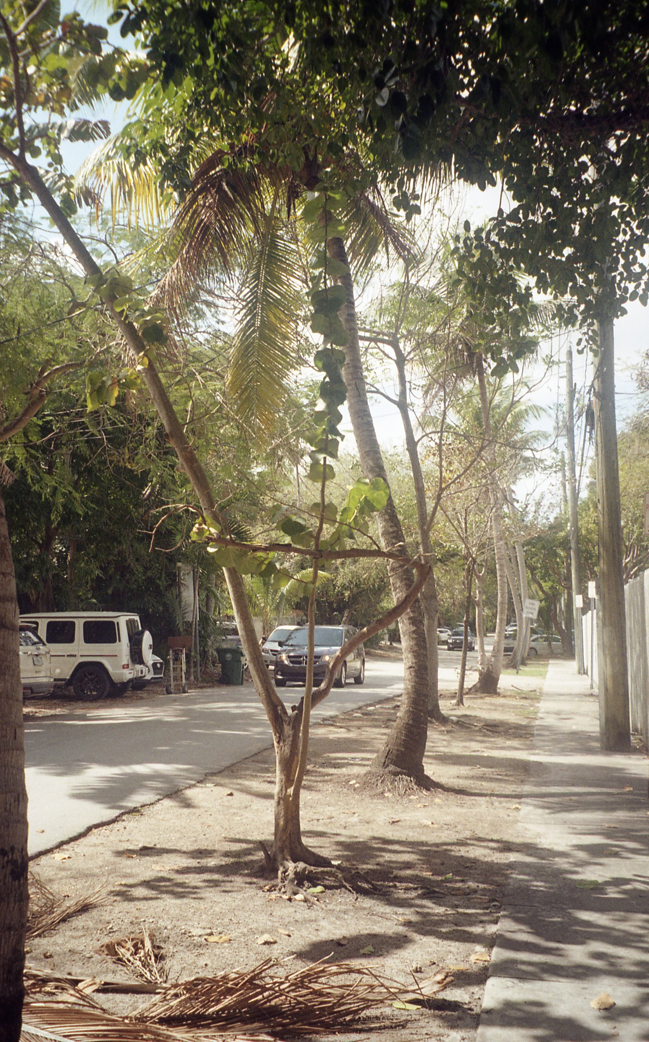 Pocket pentax372.jpg