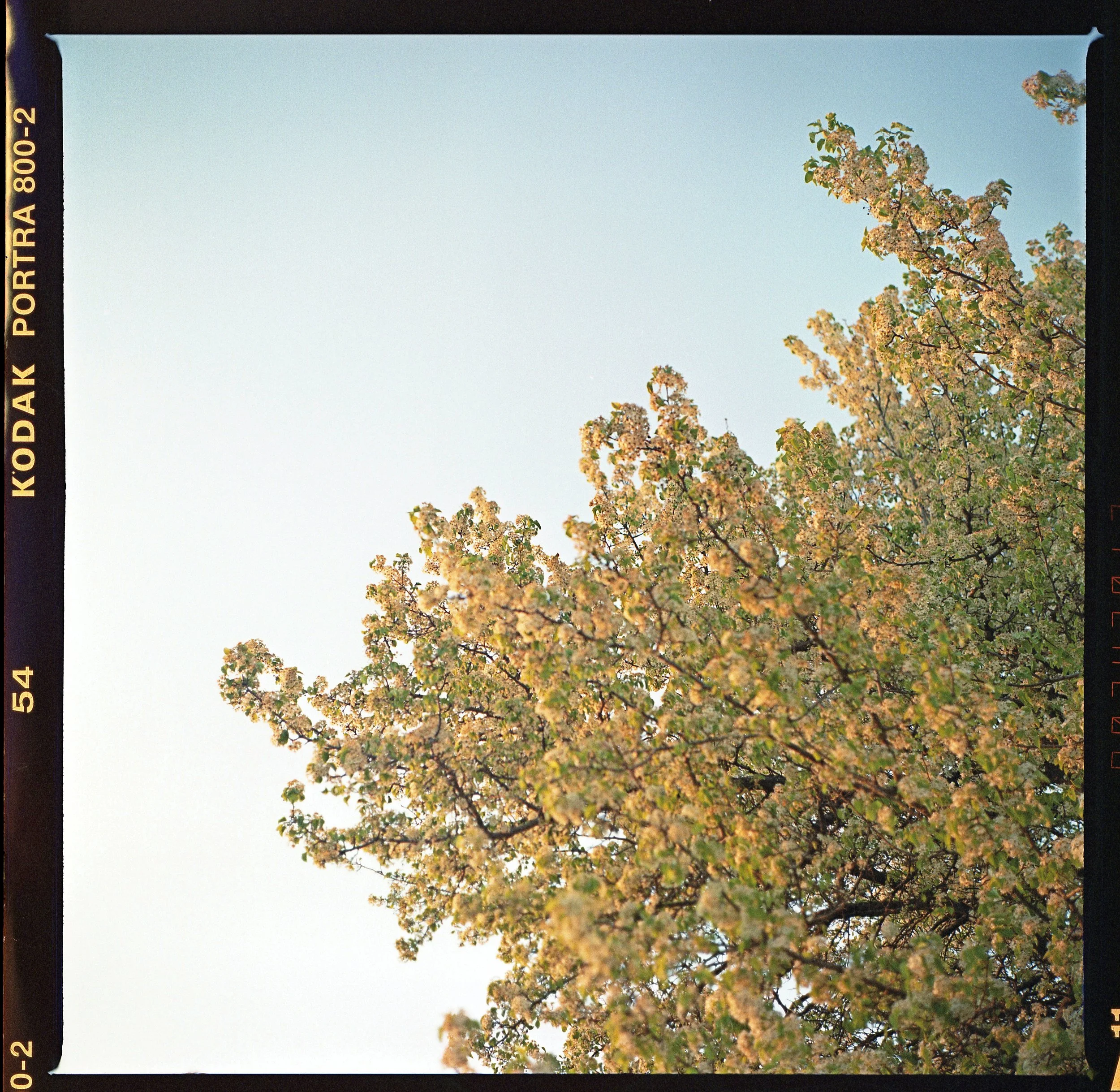 "Holding onto Spring"