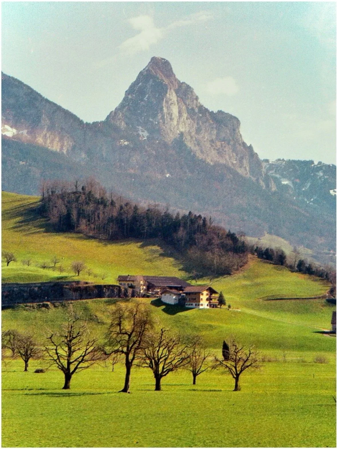 "Swiss Alps"