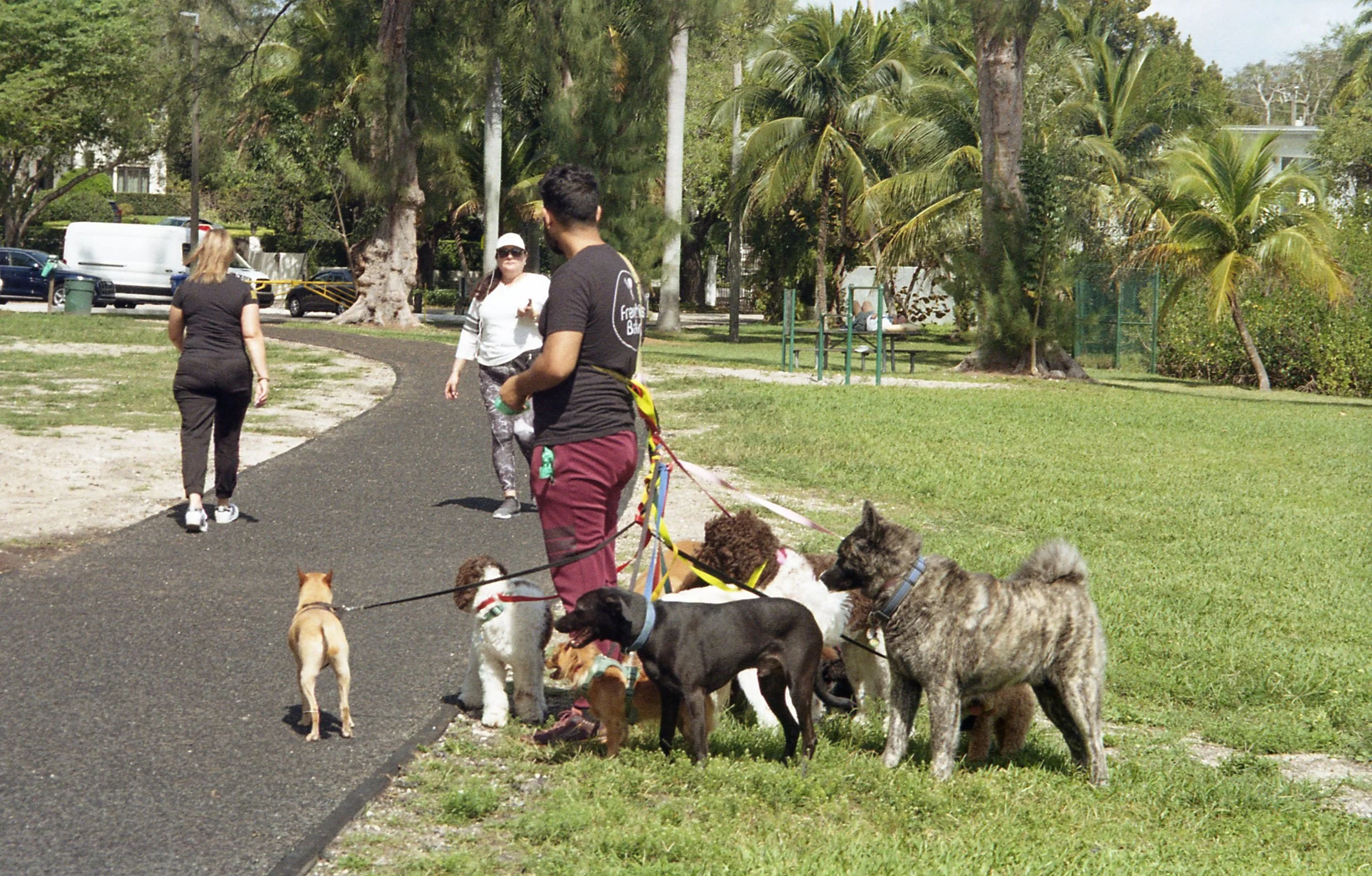 Pocket pentax358.jpg