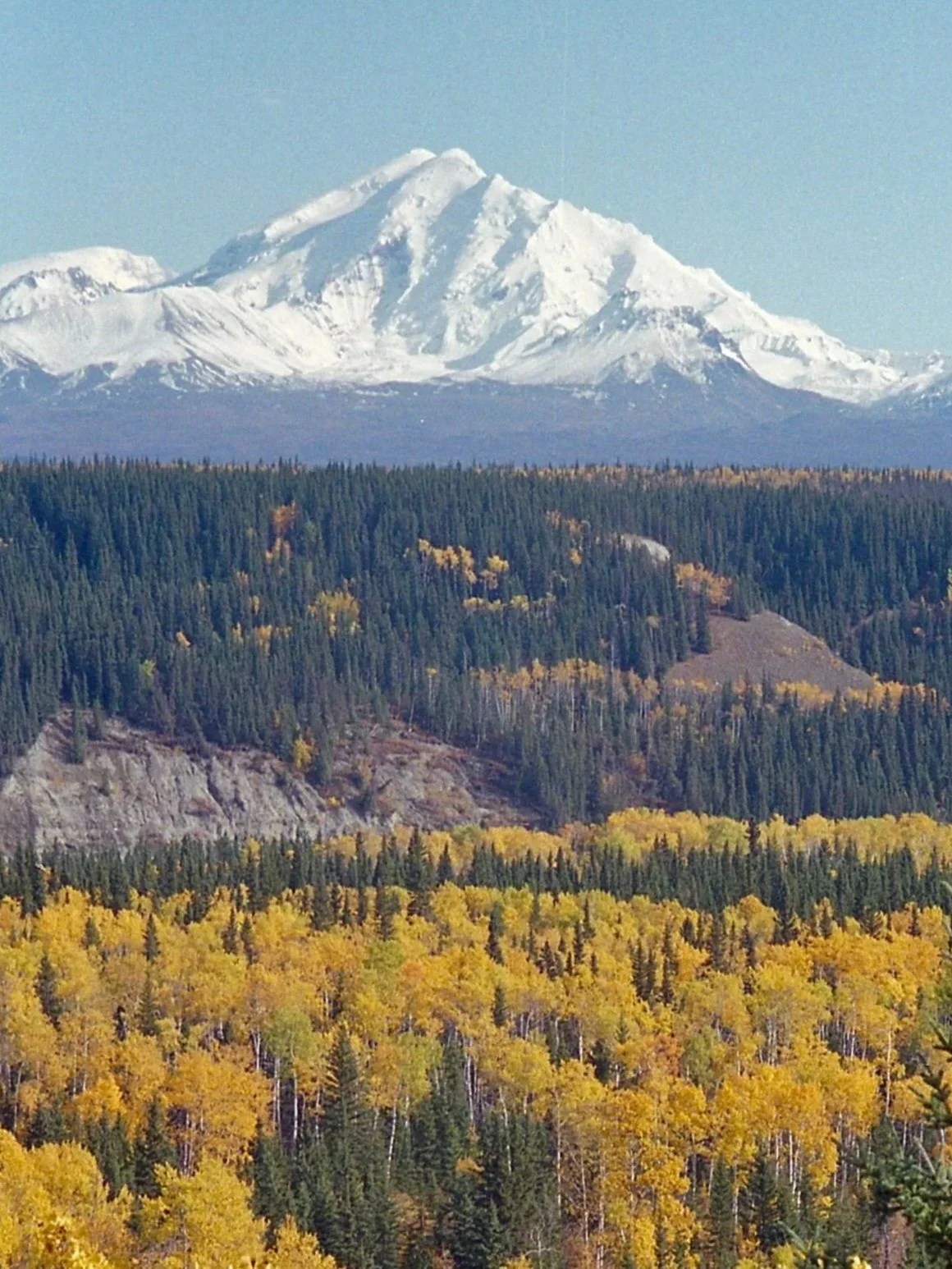 "Stacked Landscape"