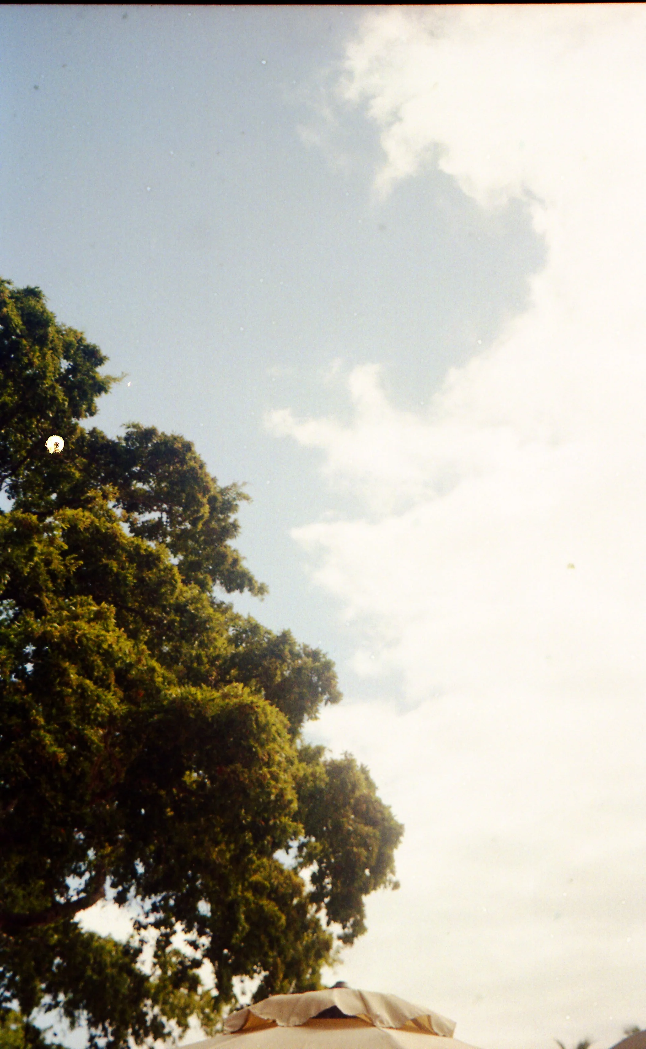 Pocket pentax388.jpg