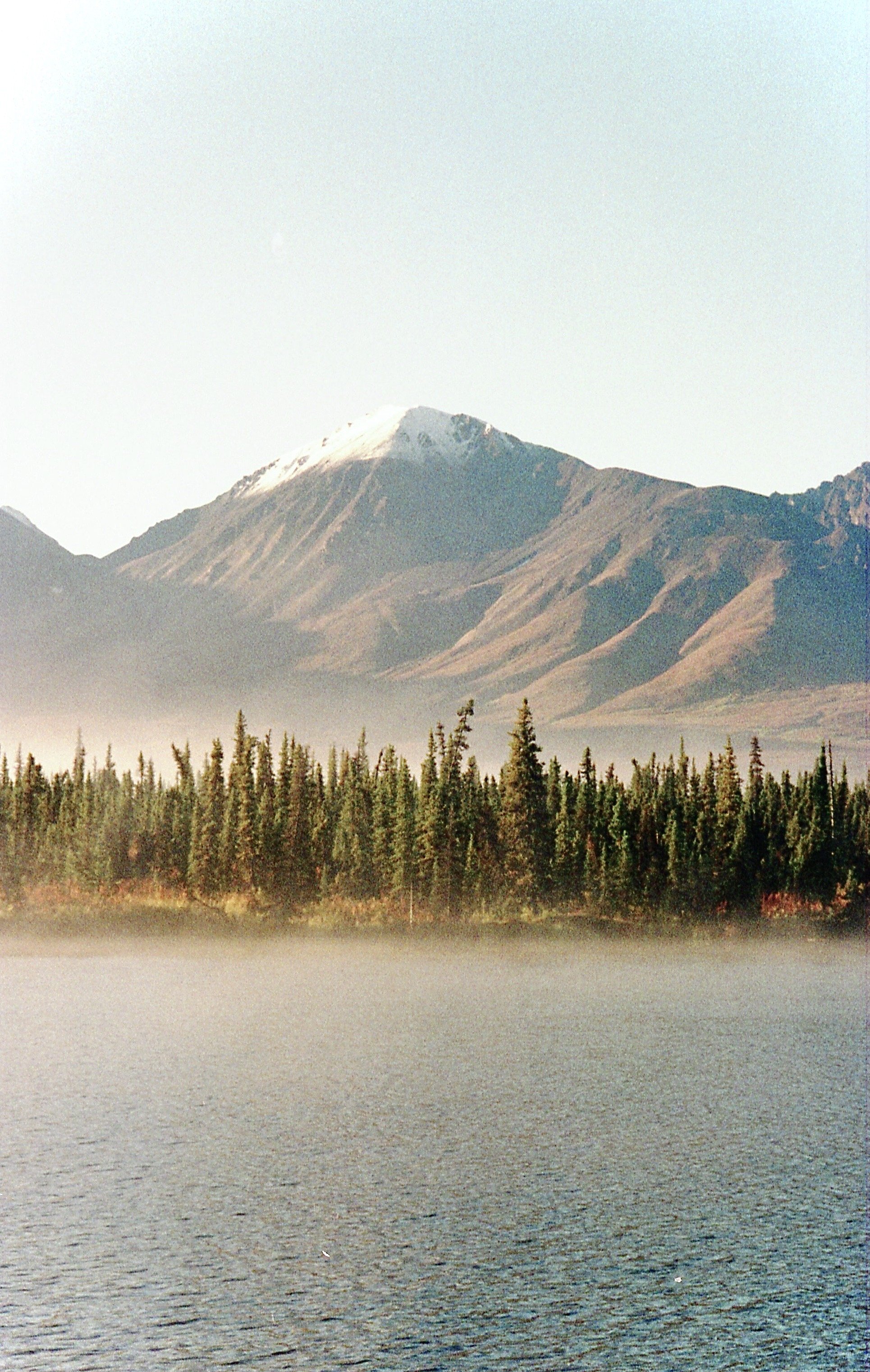 “Mountains and Fog” - Denali, Alaska