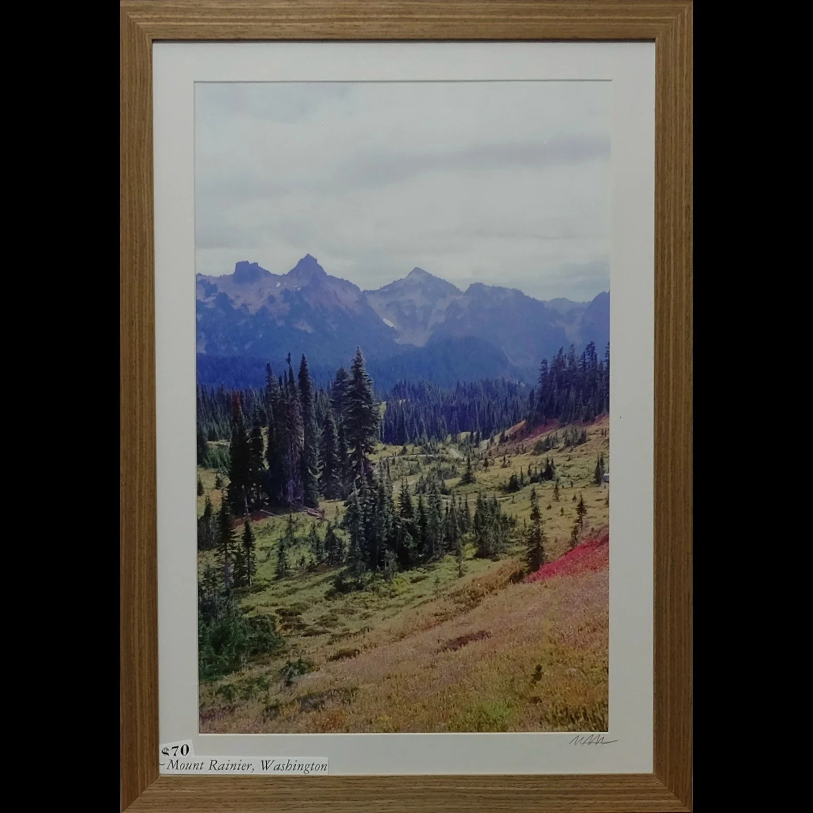 "Washington Colors" 13"x19"