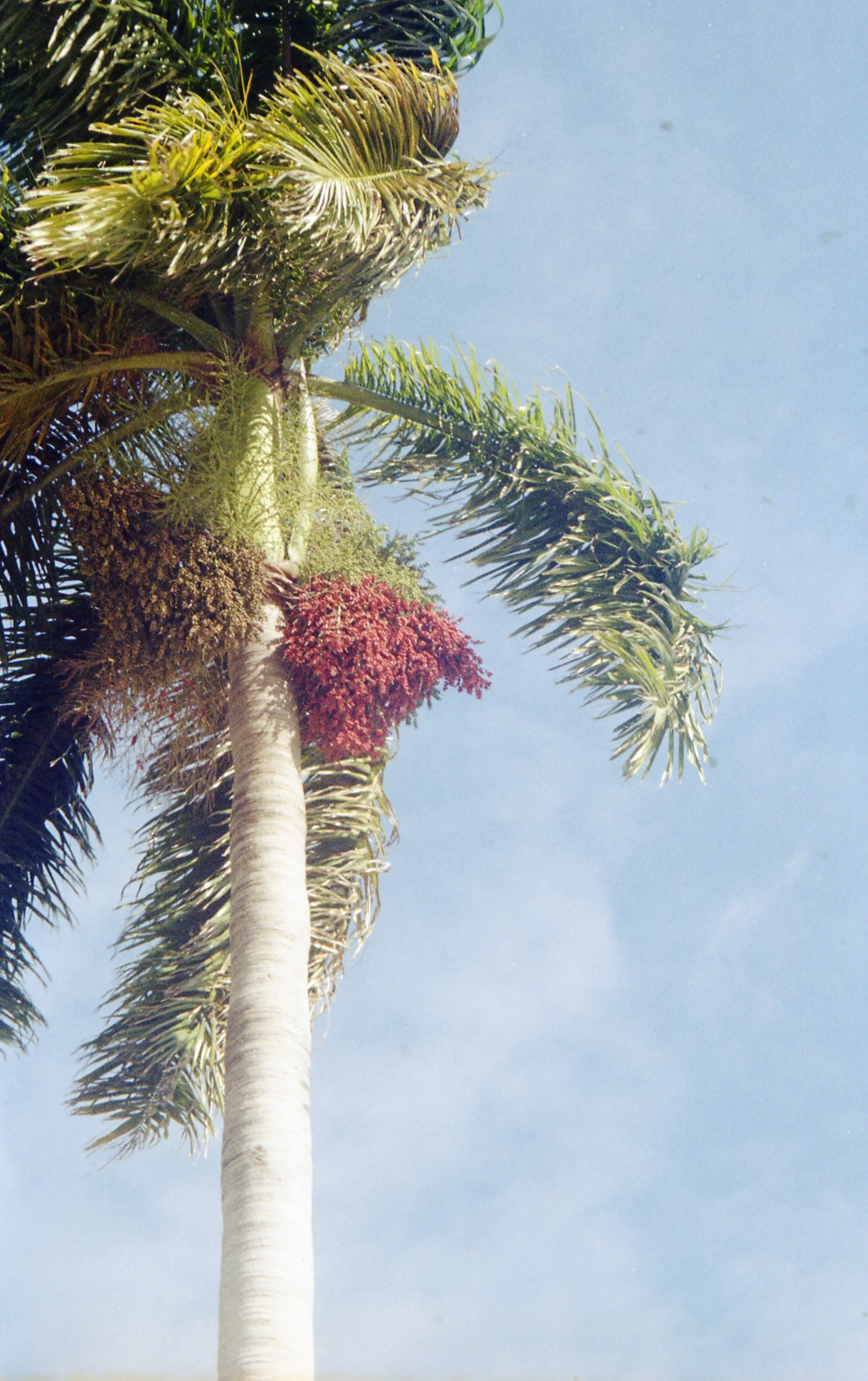 Pocket pentax368.jpg