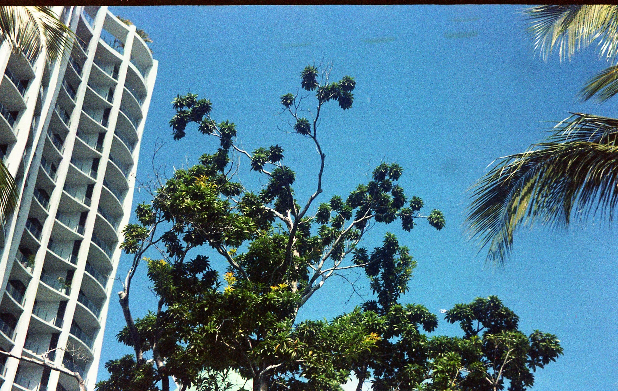 Pocket pentax403.jpg