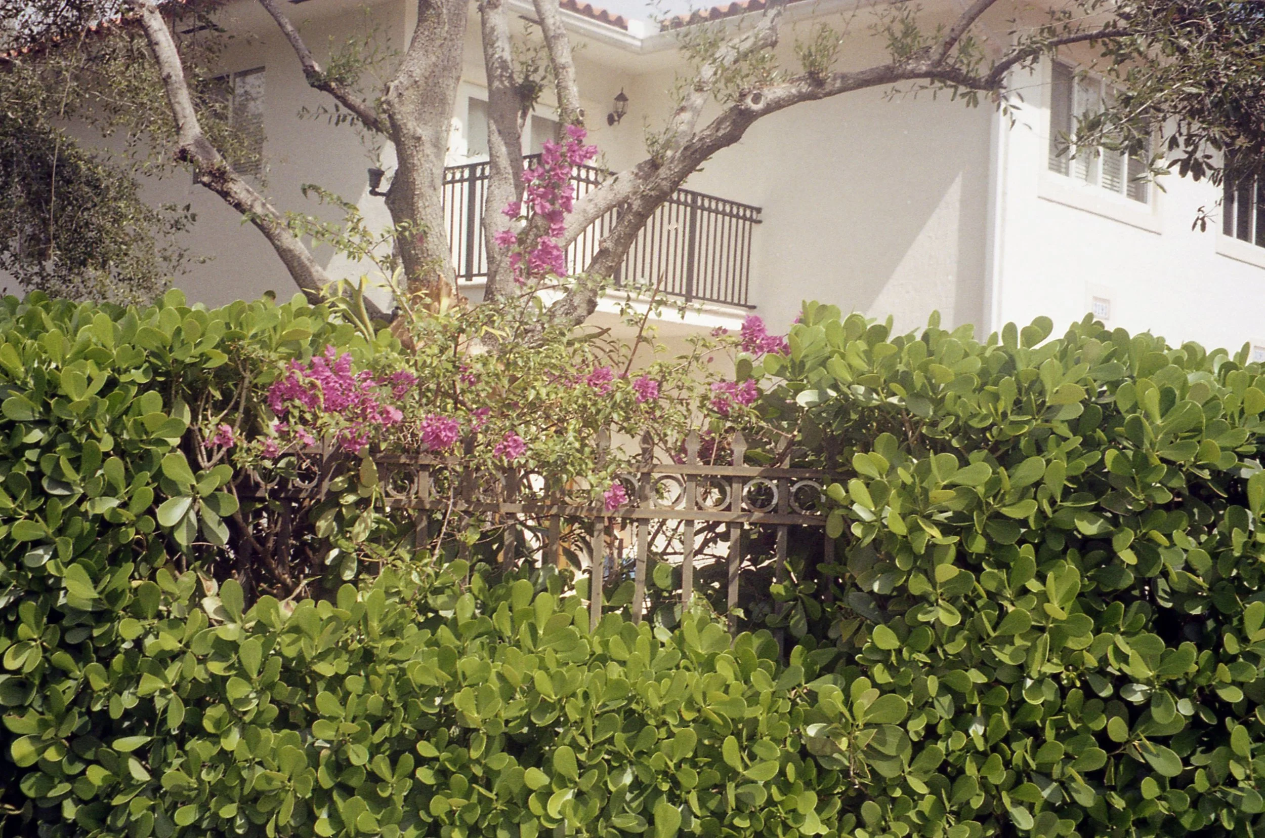 Pocket pentax373.jpg