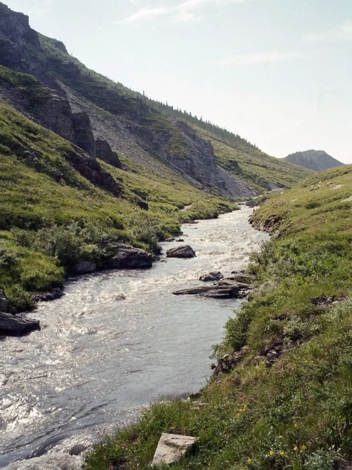 "Savage River"
