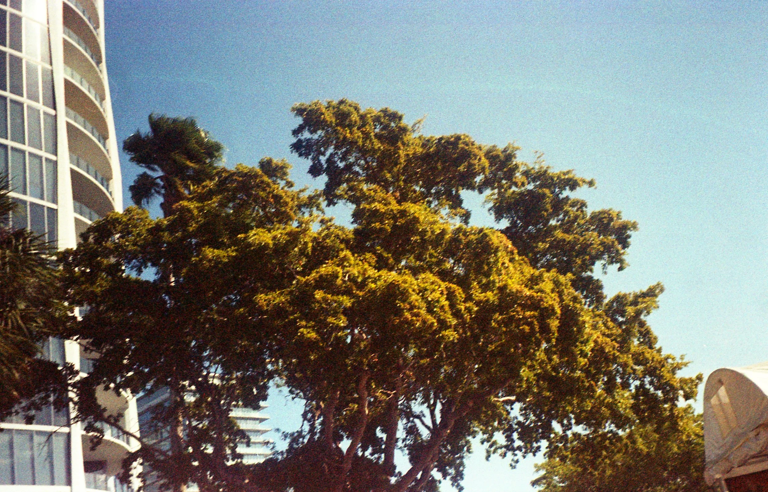 Pocket pentax397.jpg