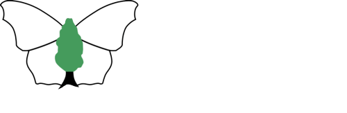 butterfly.png