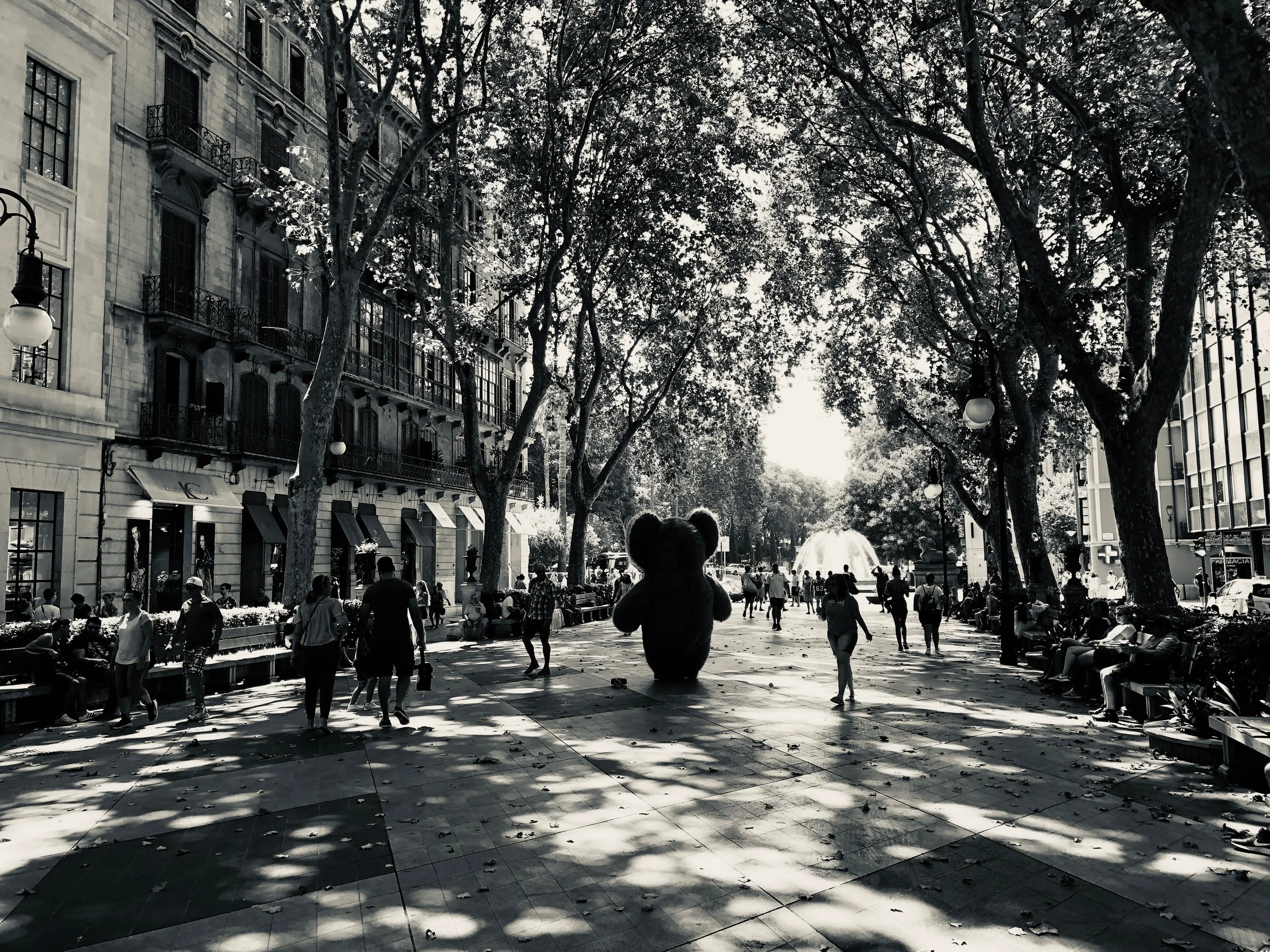 Shadows Jan 27 2022 Final - 47.jpeg