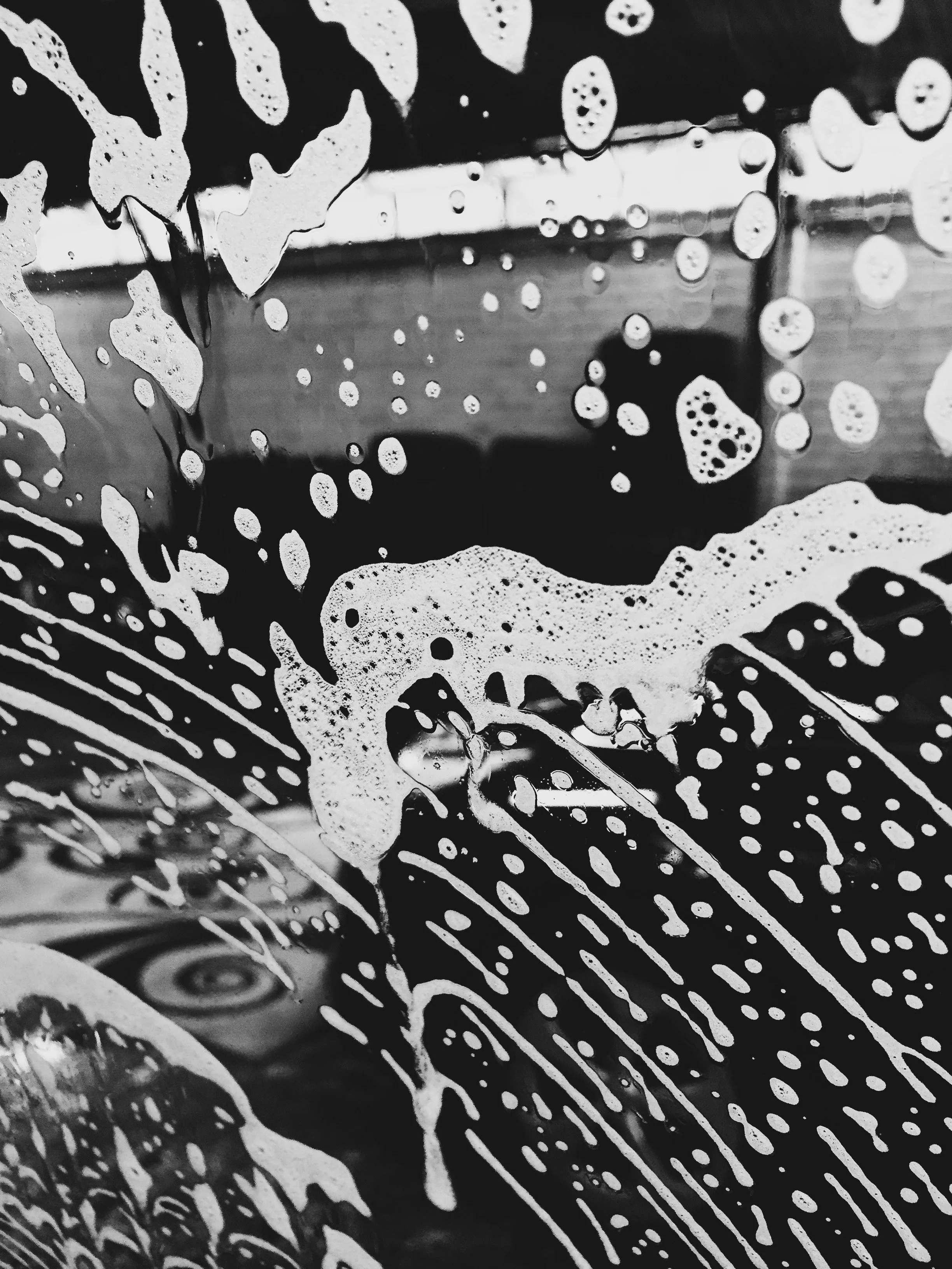 Shadows Jan 27 2022 Final - 57.jpeg