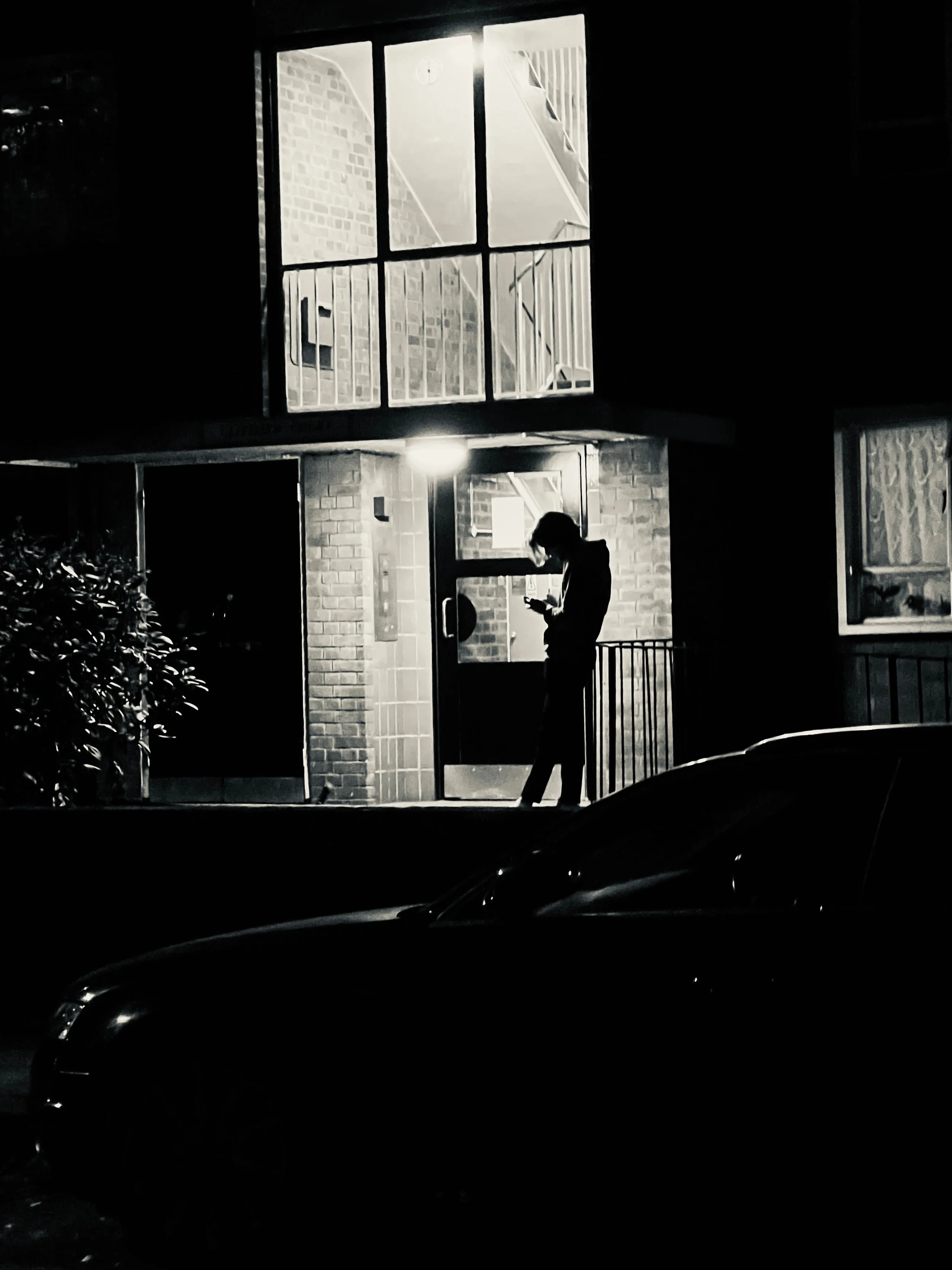 Shadows Jan 27 2022 Final - 45.jpeg