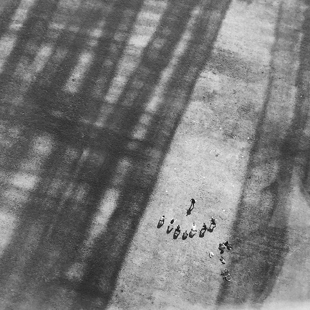 Shadows Jan 27 2022 Final - 75.jpeg