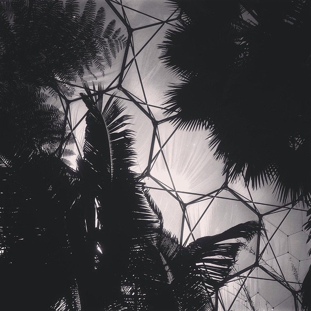 Shadows Jan 27 2022 Final - 69.jpeg