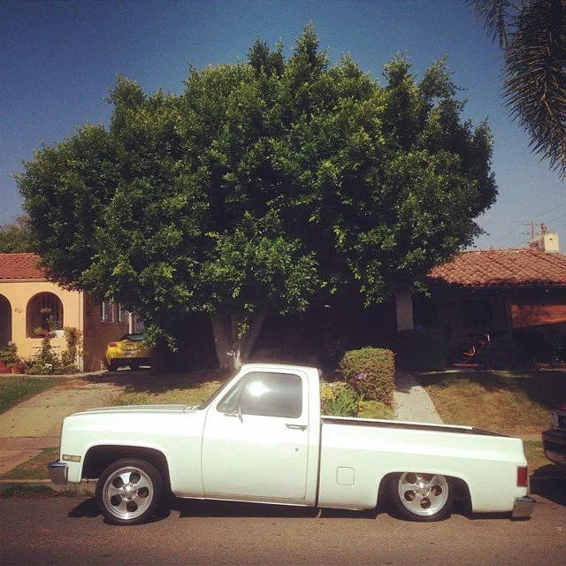 Speed Jan 27 2022 Final - 17.jpeg