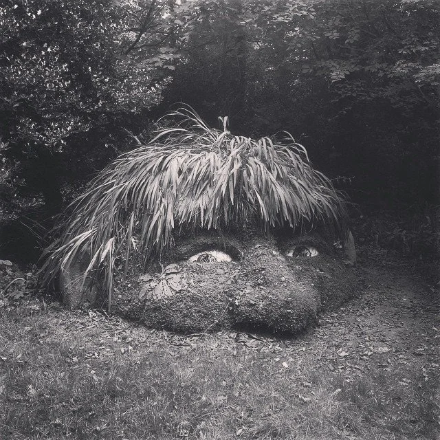 Shadows Jan 27 2022 Final - 72.jpeg