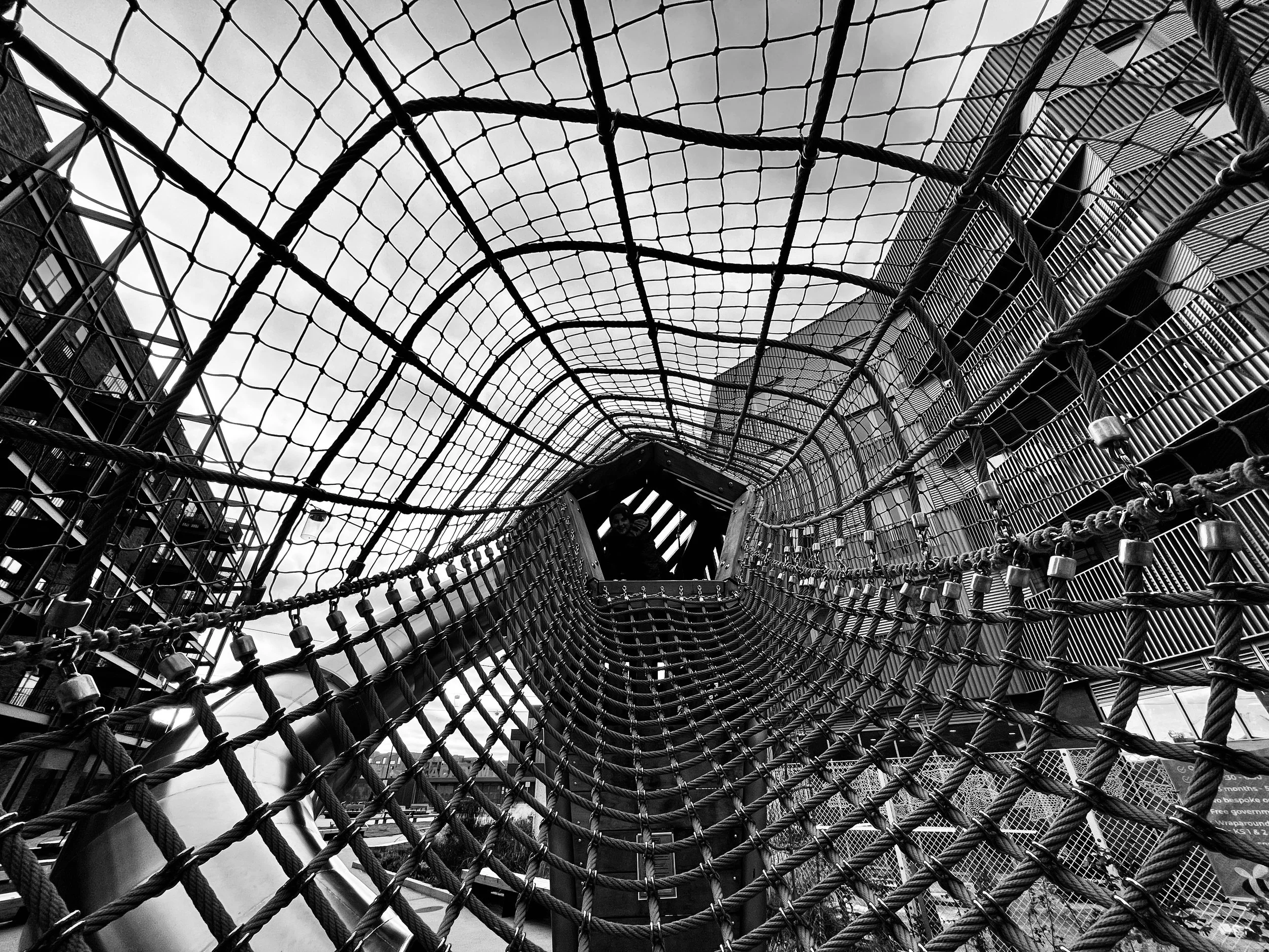 Shadows Jan 27 2022 Final - 55.jpeg