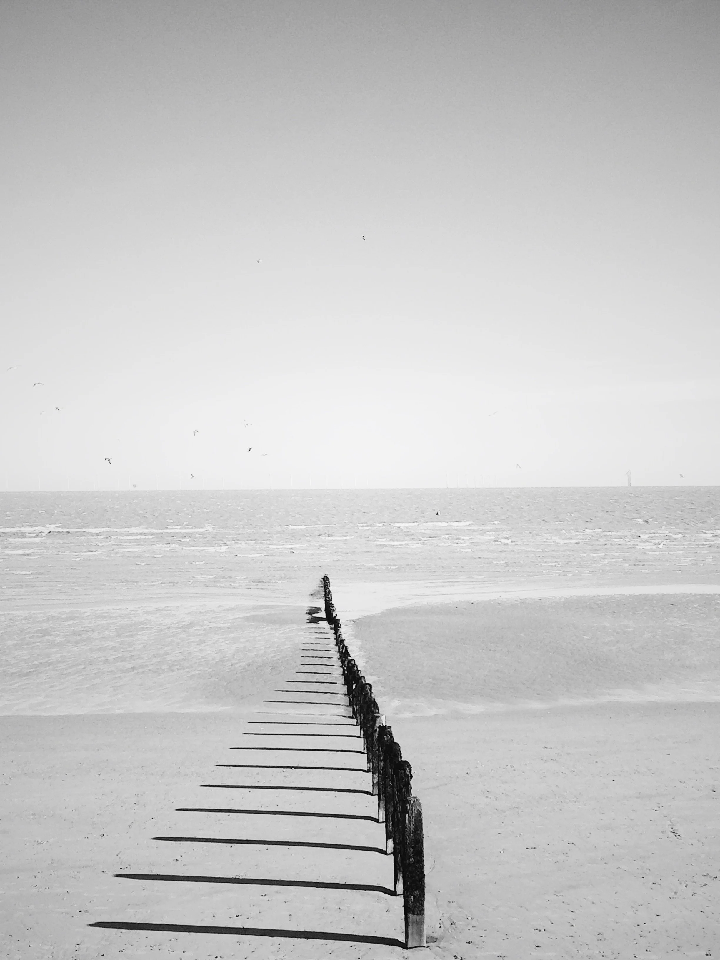 Shadows Jan 27 2022 Final - 8.jpeg