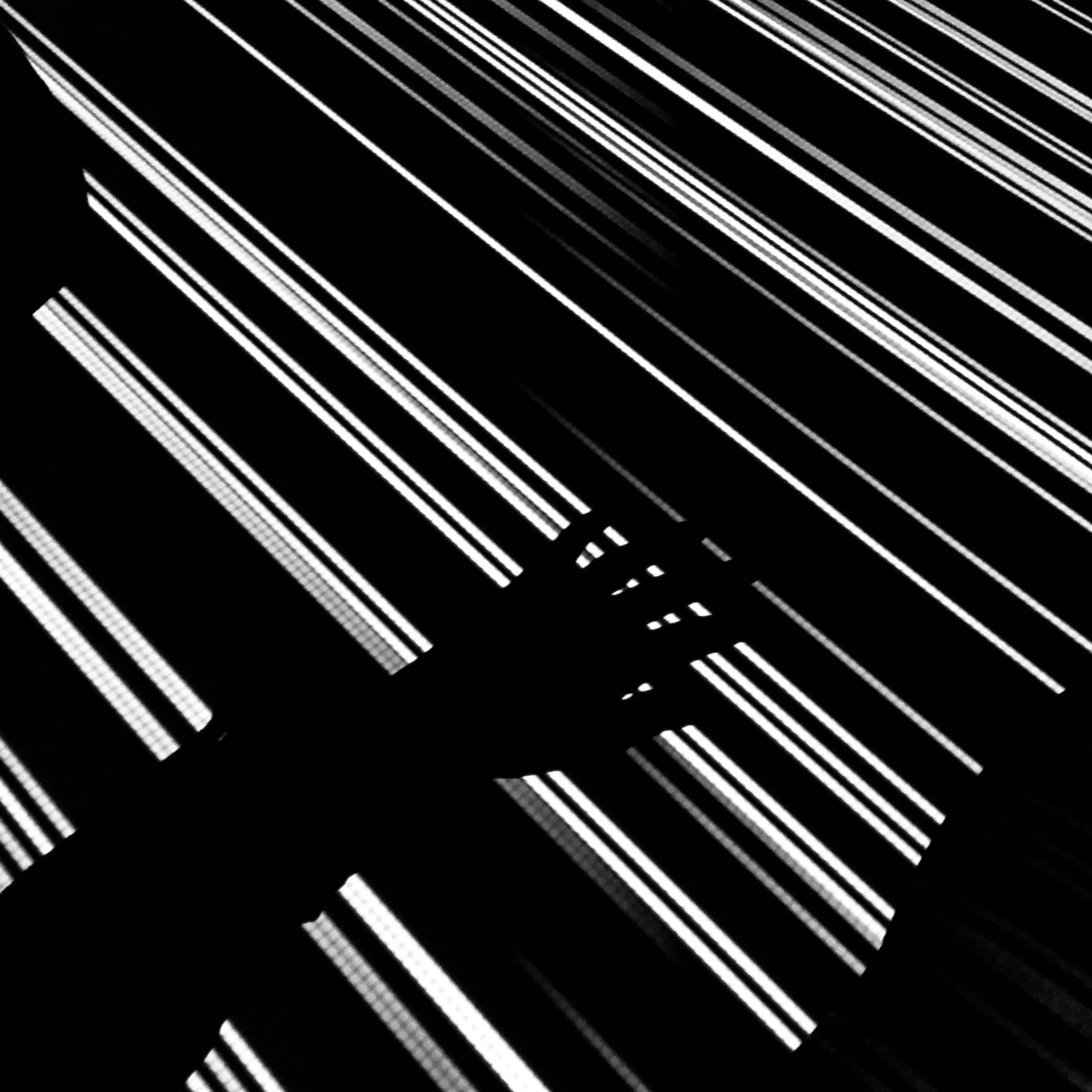 Shadows Jan 27 2022 Final - 52.jpeg