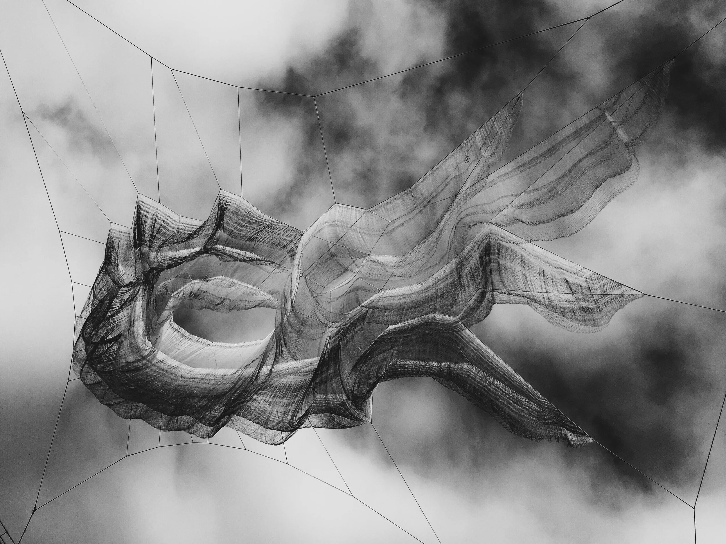 Shadows Jan 27 2022 Final - 63.jpeg