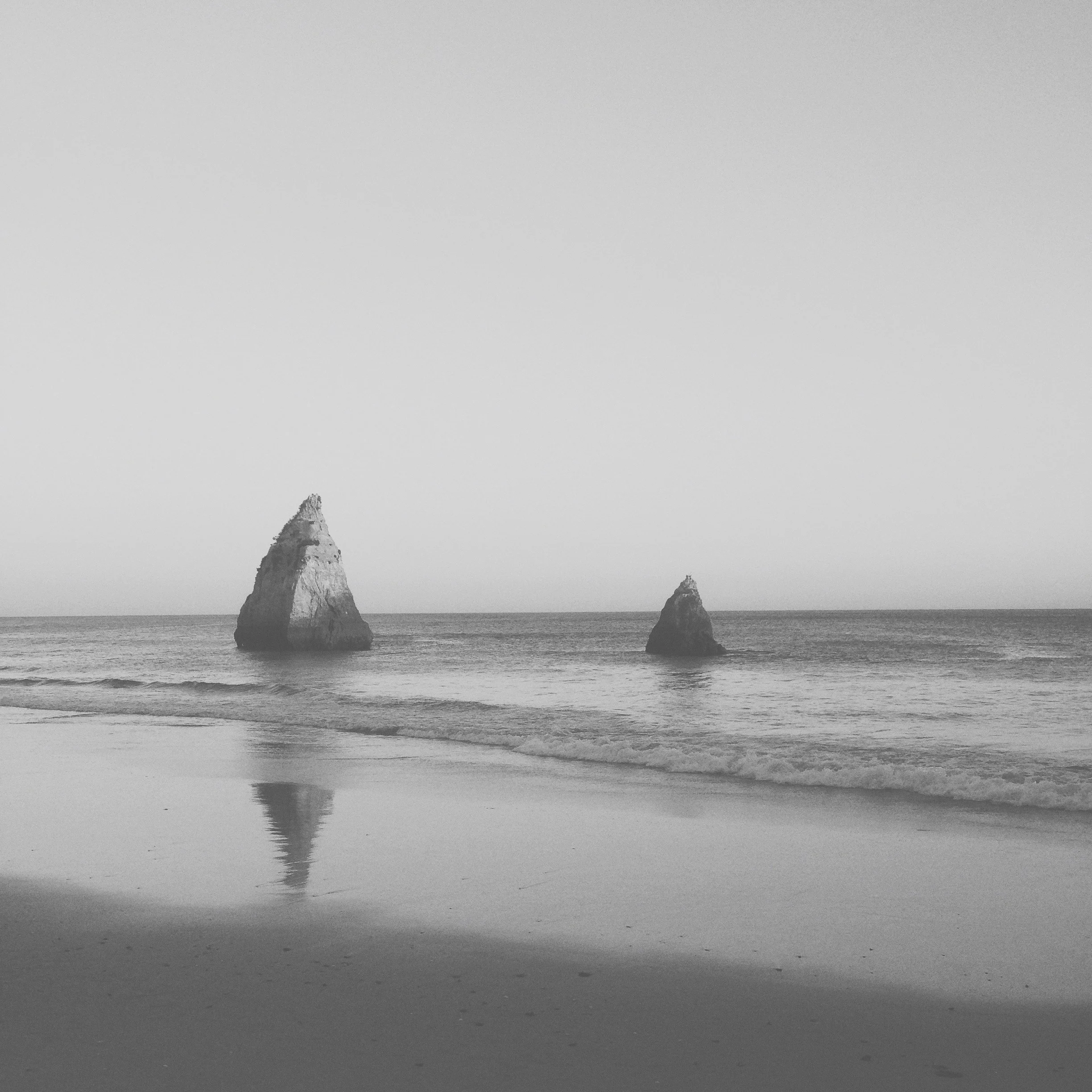 Shadows Jan 27 2022 Final - 25.jpeg