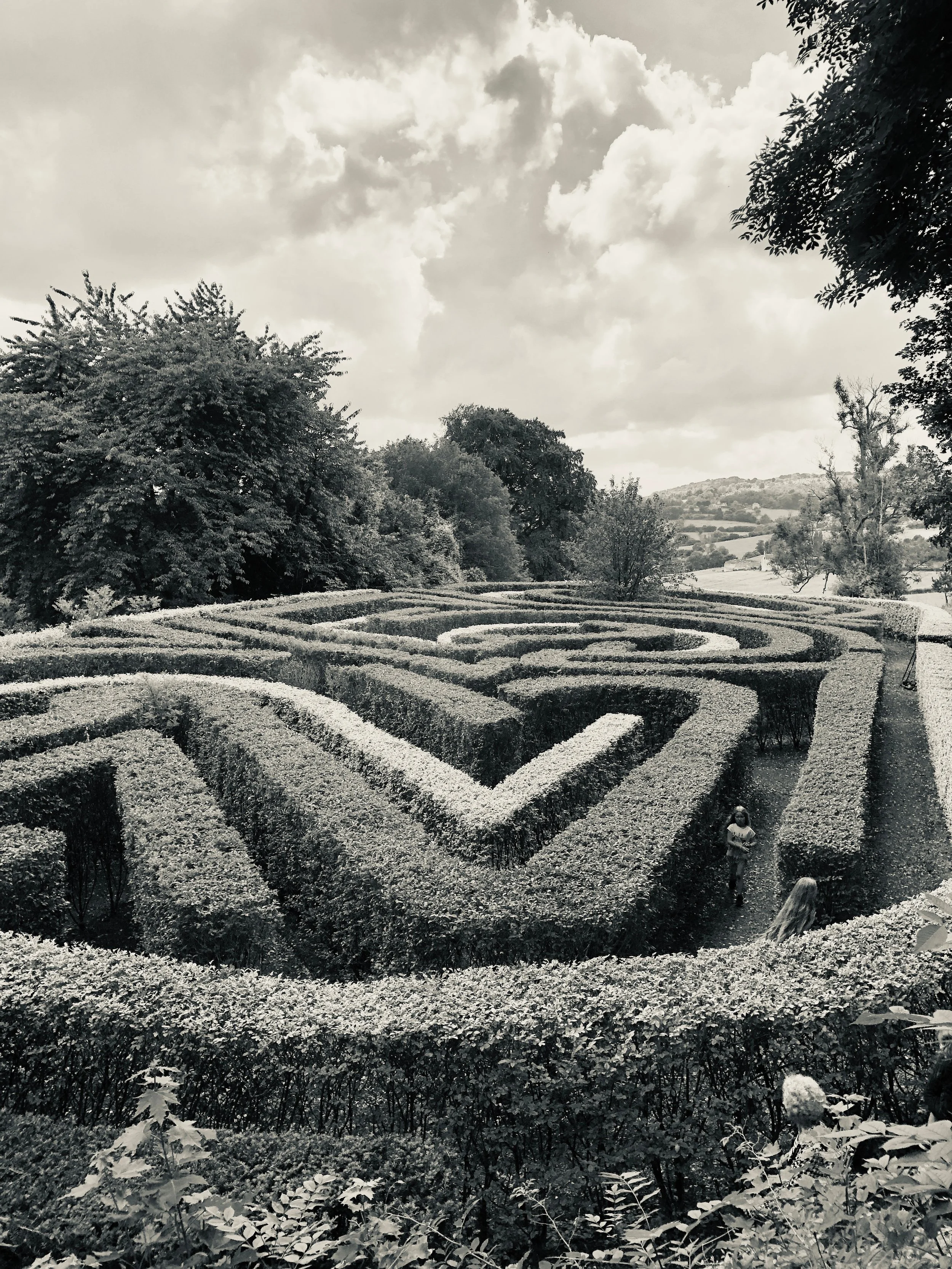 Shadows Jan 27 2022 Final - 79.jpeg