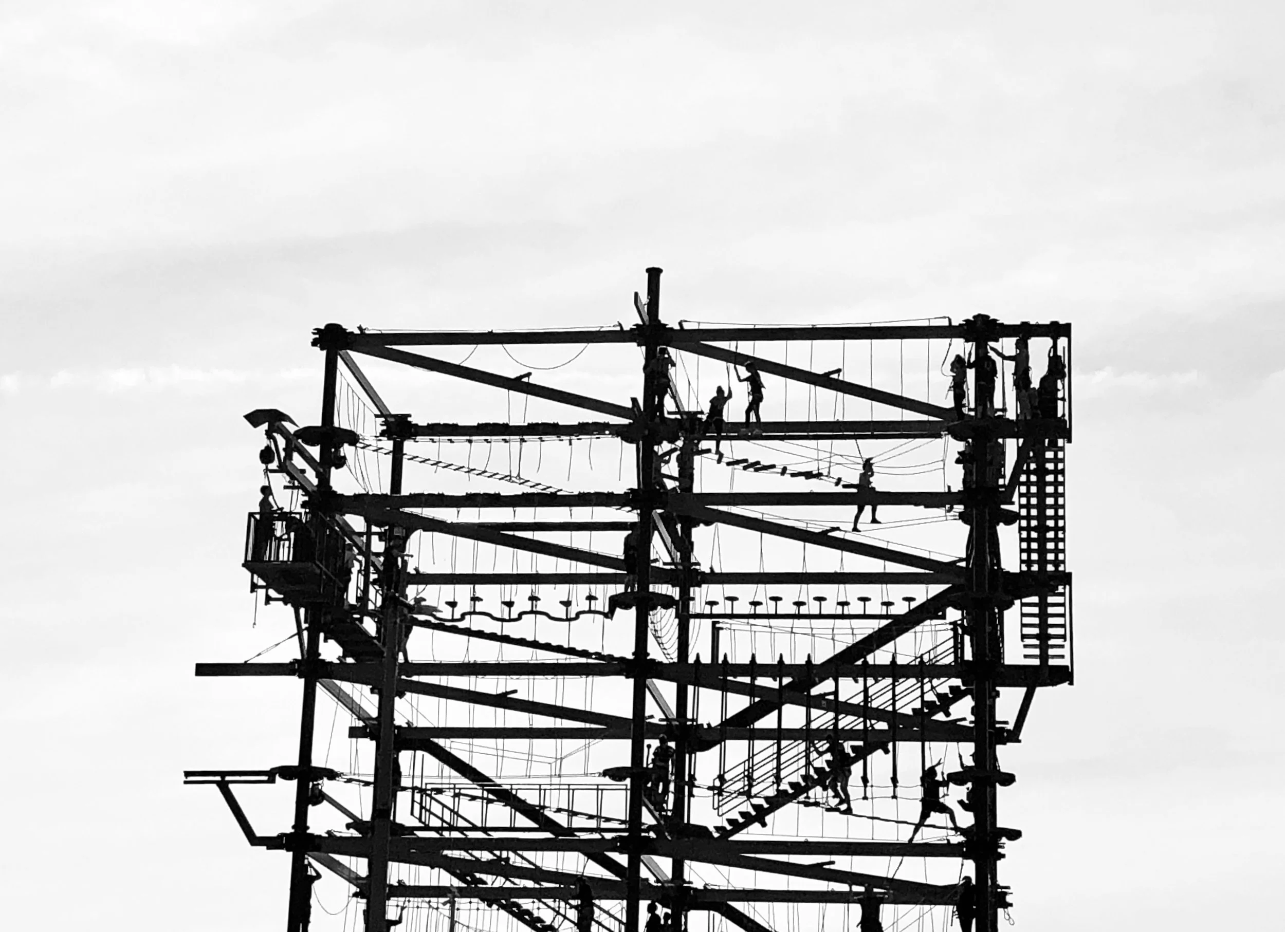 Shadows Jan 27 2022 Final - 5.jpeg